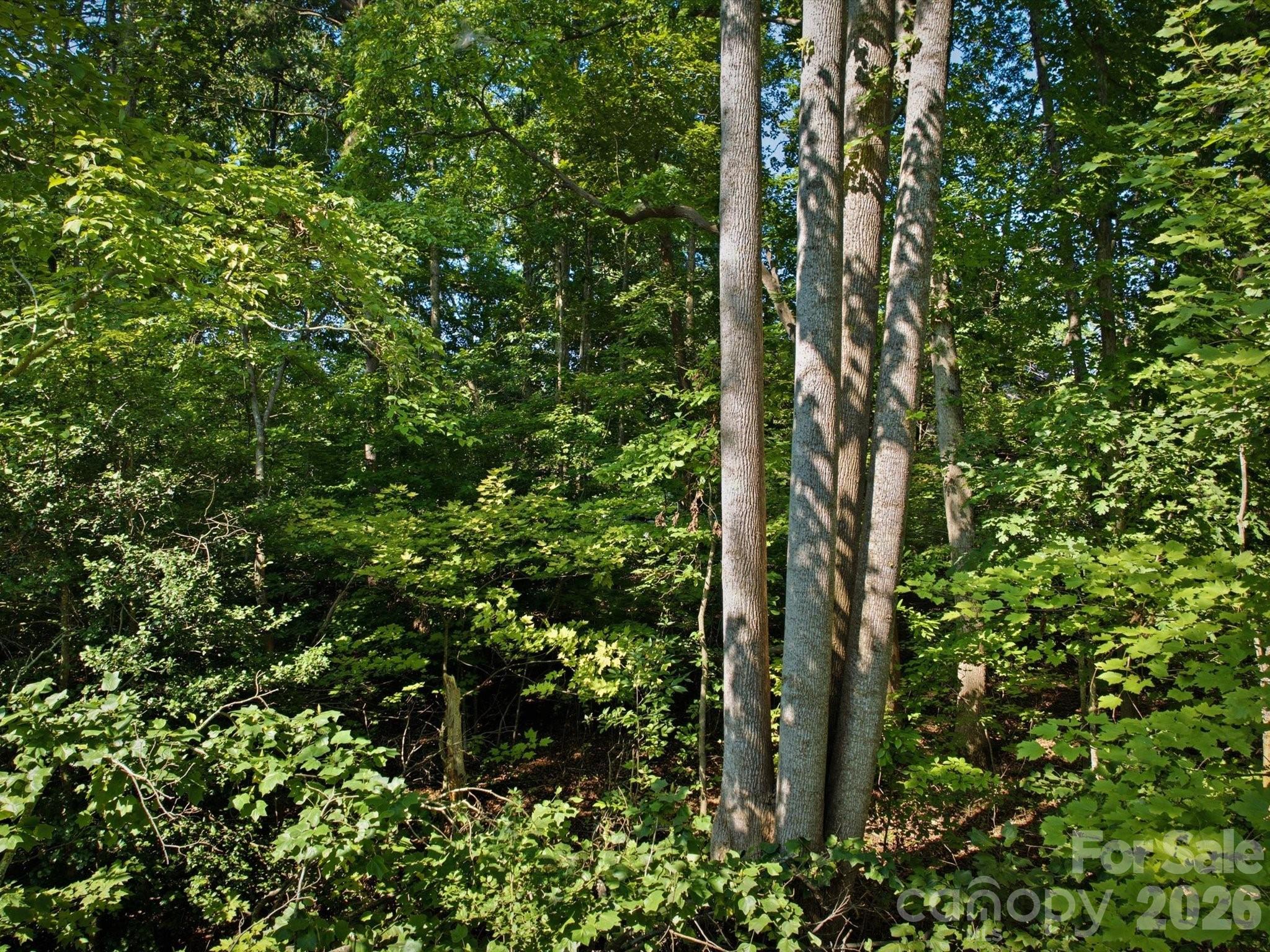 Lot at 0 Crestwood Avenue, Morganton, photo 11 of 14