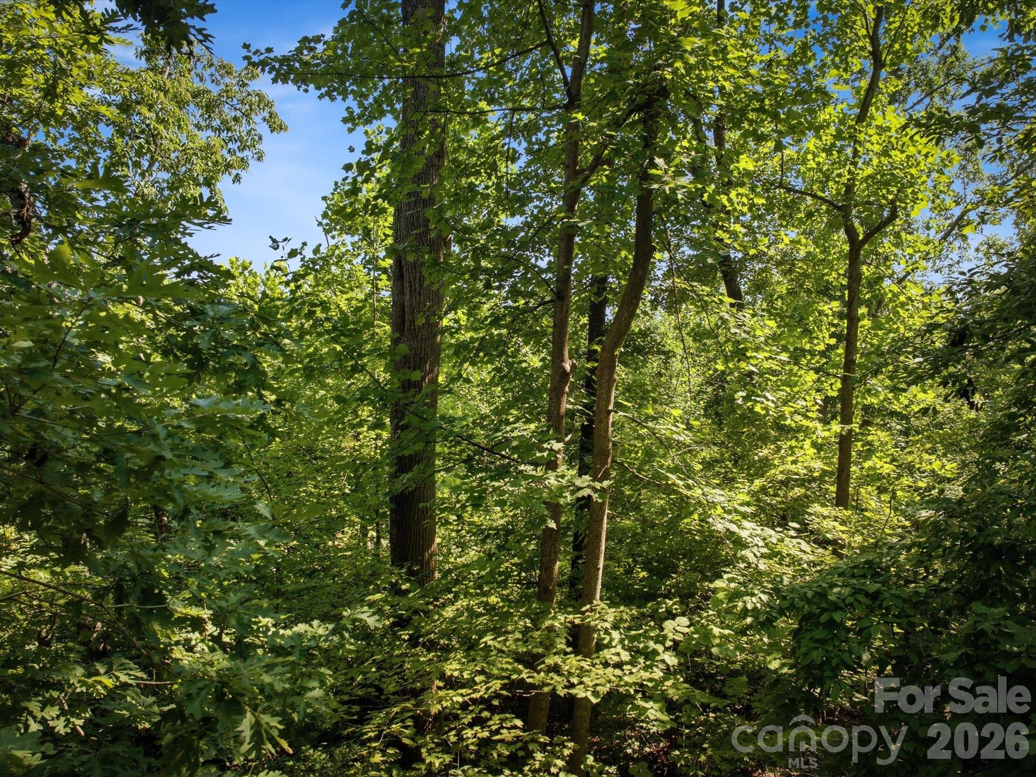Lot at 0 Crestwood Avenue, Morganton, photo 12 of 14