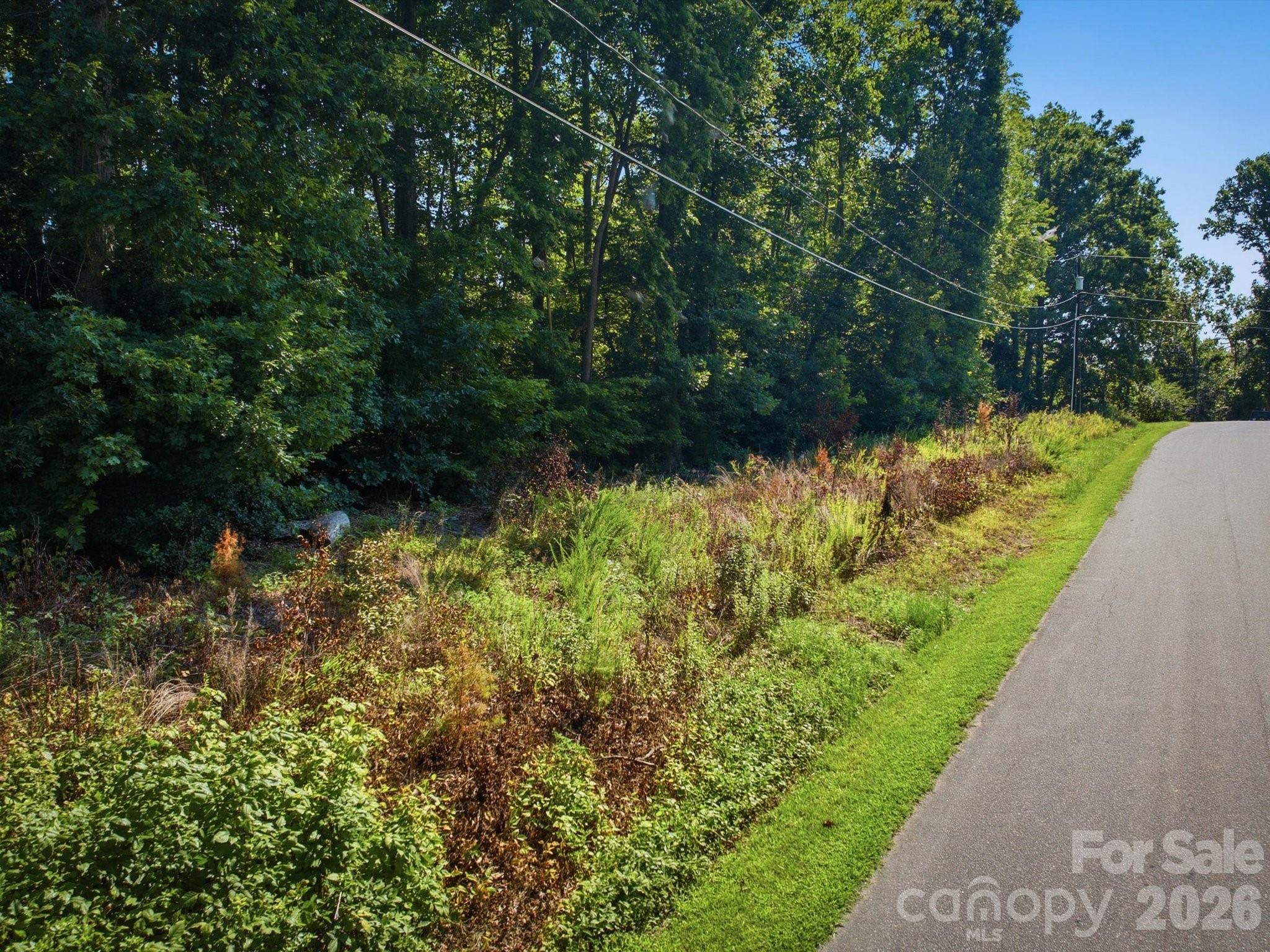 Lot at 0 Crestwood Avenue, Morganton, photo 13 of 14