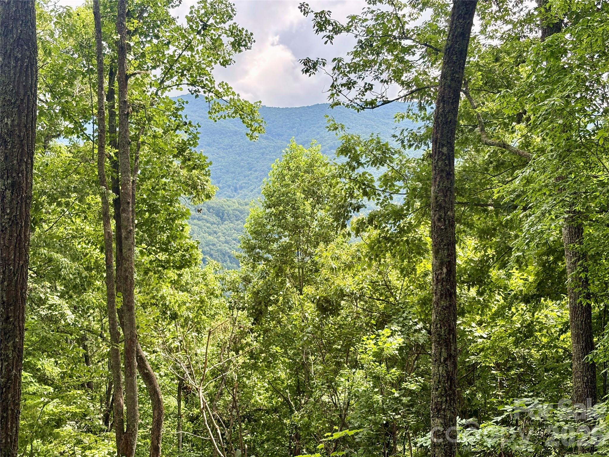 Acreage at 0 Carpenter Road, Bryson City, photo 3 of 32