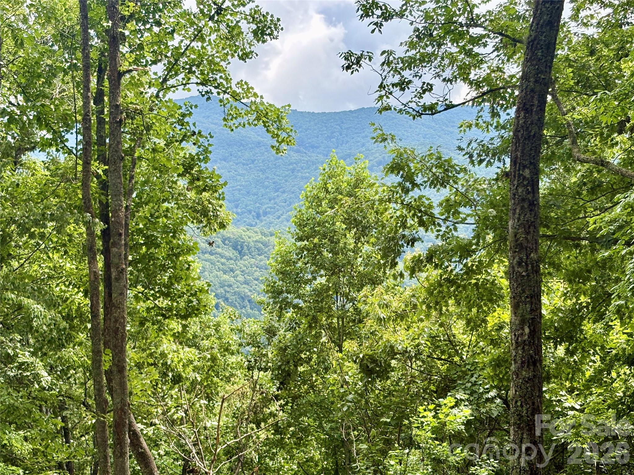 Acreage at 0 Carpenter Road, Bryson City, photo 4 of 32