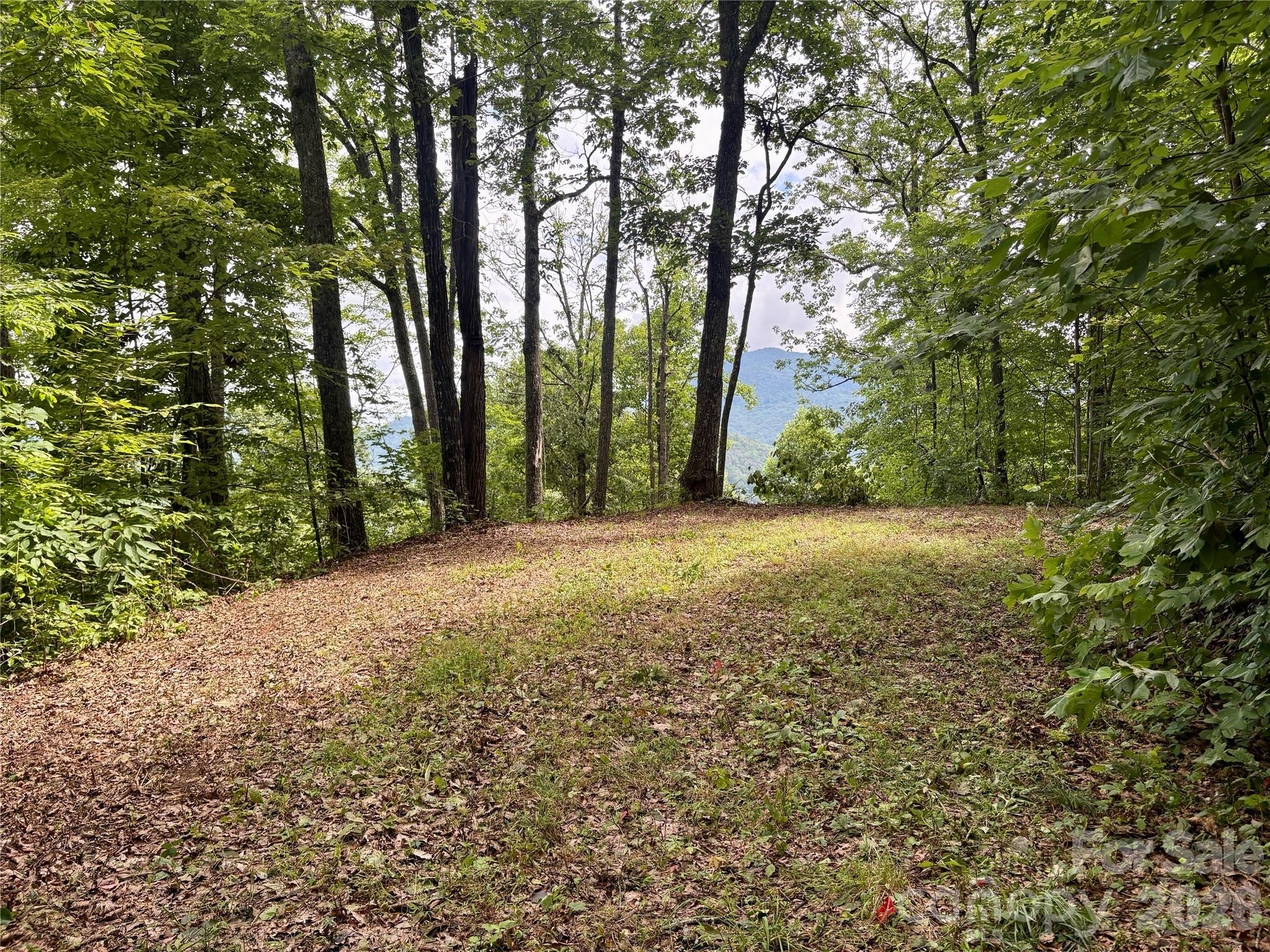 Acreage at 0 Carpenter Road, Bryson City, photo 5 of 32