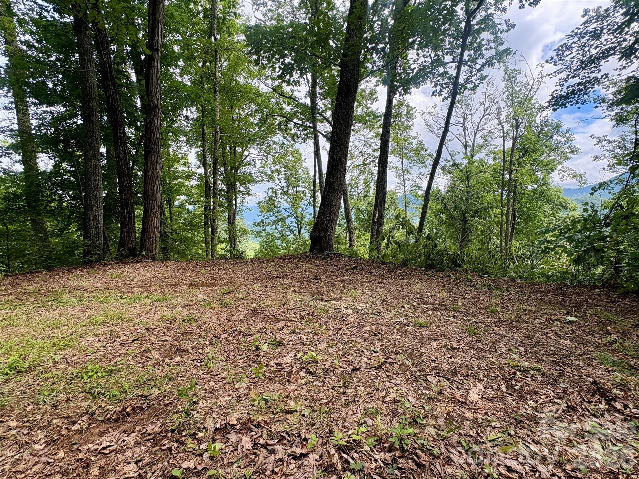 Acreage at 0 Carpenter Road, Bryson City, photo 6 of 32
