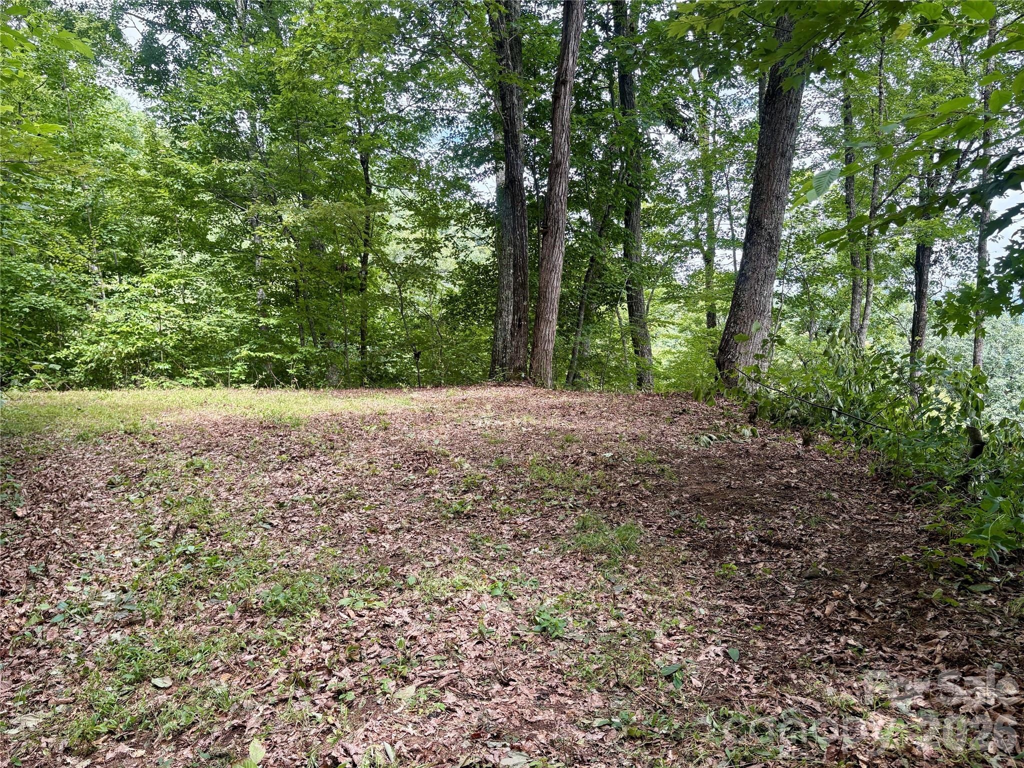 Acreage at 0 Carpenter Road, Bryson City, photo 7 of 32