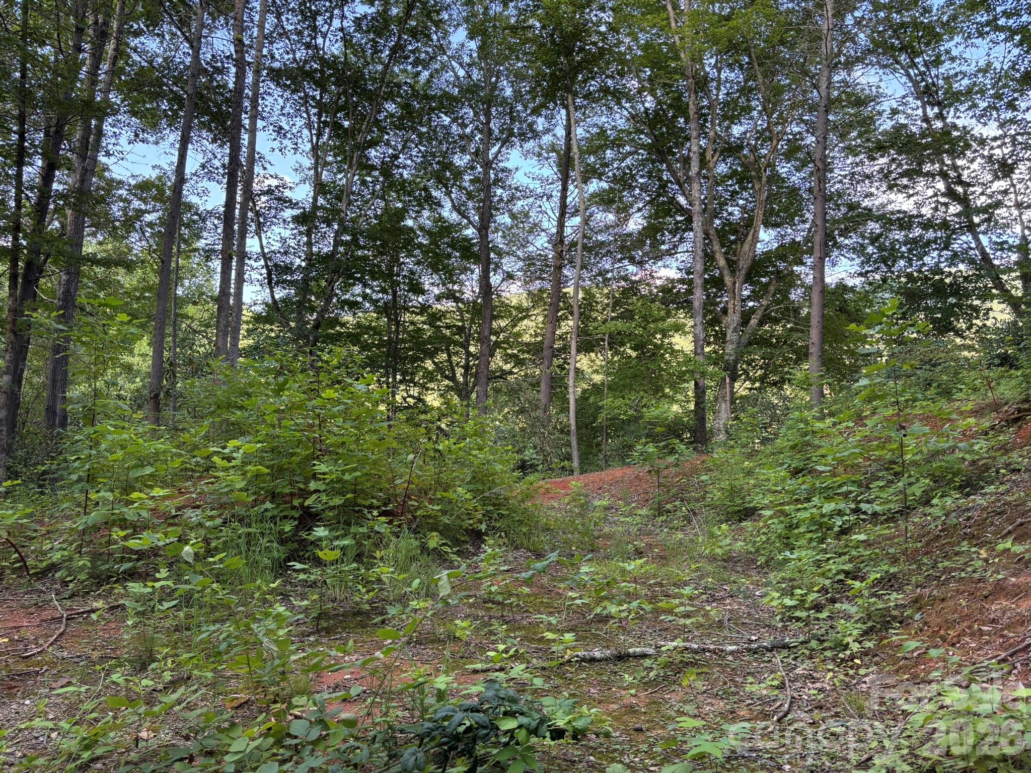 Selective tree cutting/trimming will open up the mountain views at the rear of the property. - Lot 41 Peace Wood Lane, Hendersonville