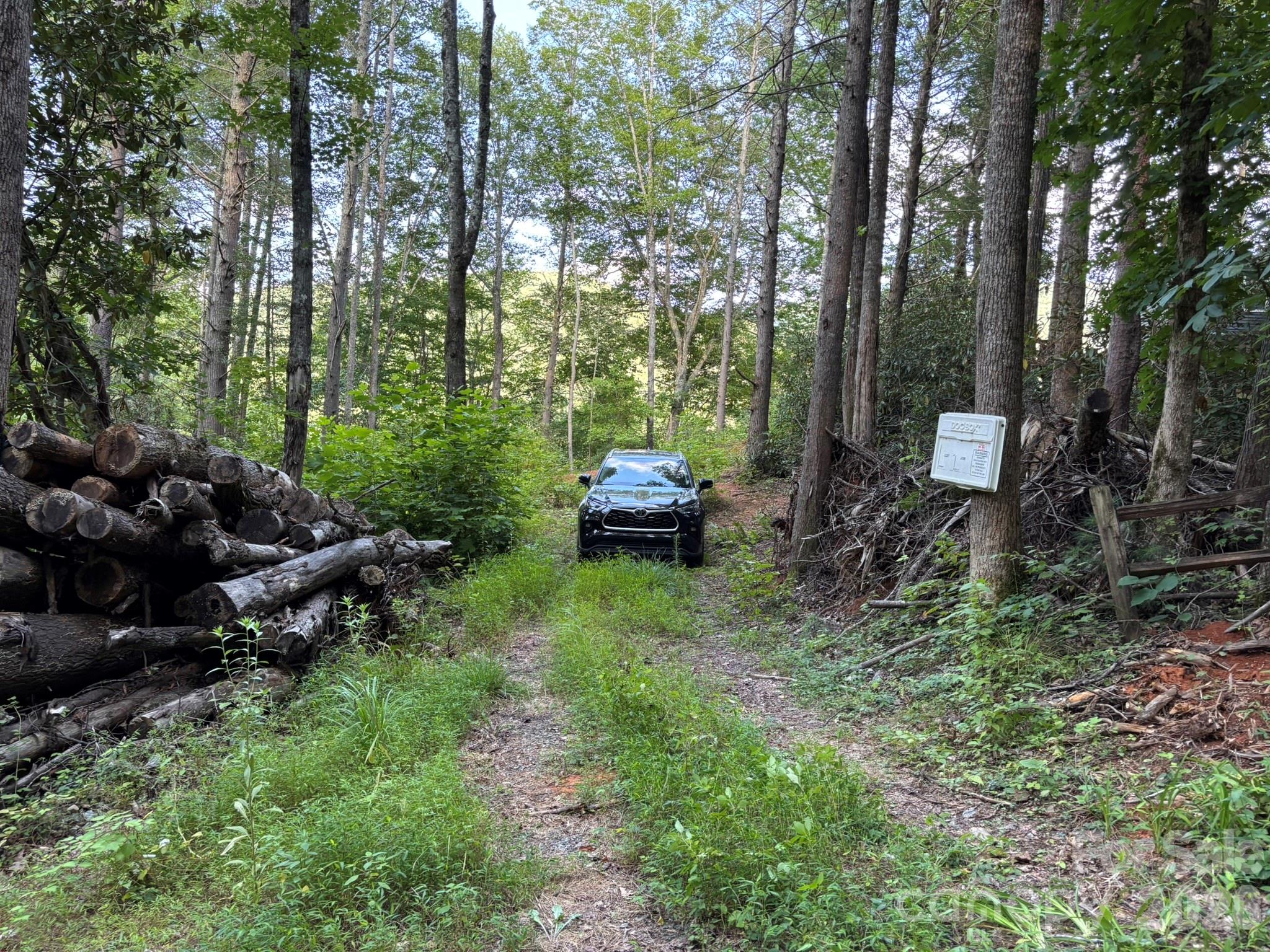 Log/debris removal will need to be completed. This photo was taken from the road. - Lot 41 Peace Wood Lane, Hendersonville
