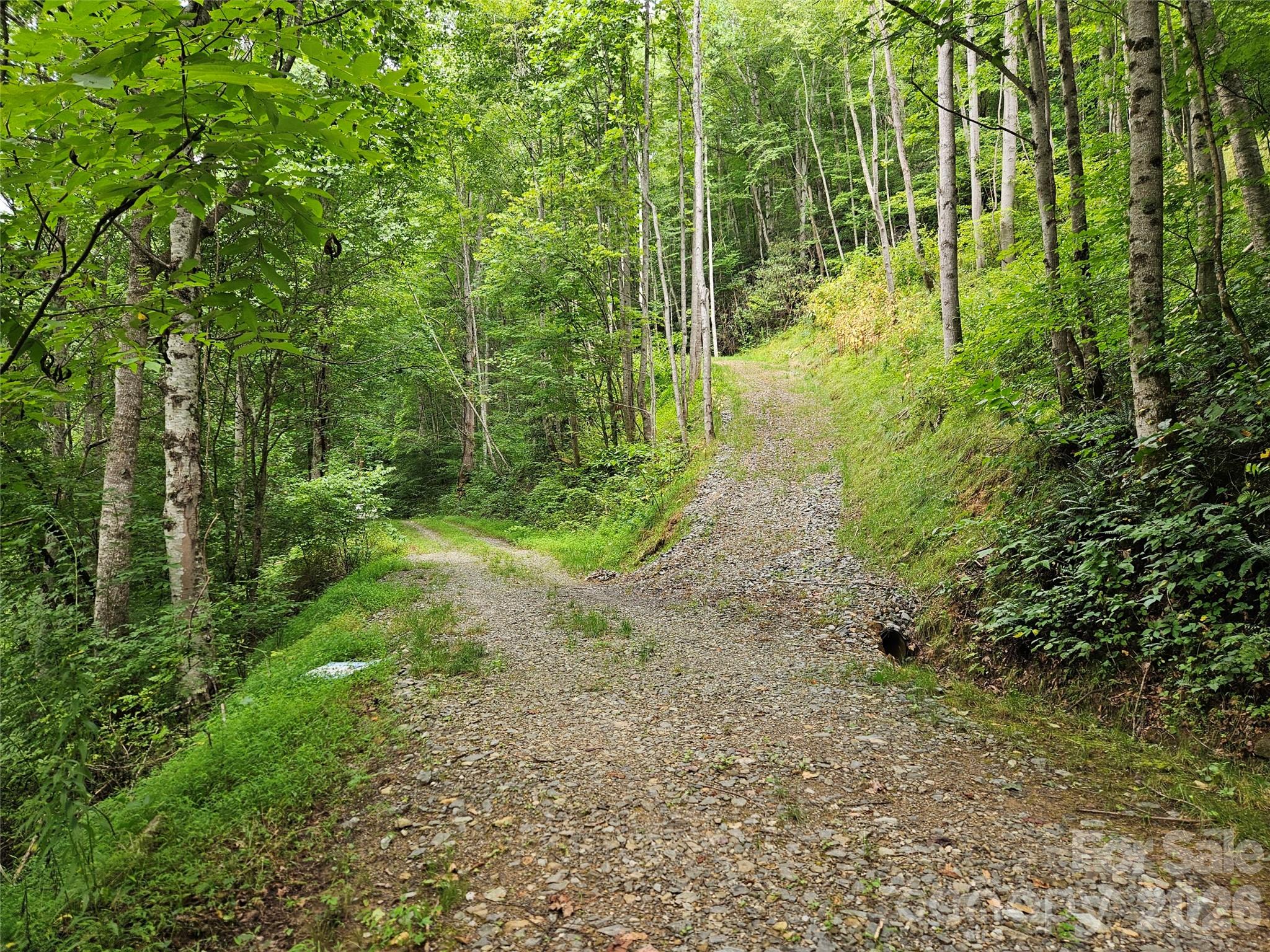Lot at 00 Wayward Cove, Clyde, photo 3 of 15