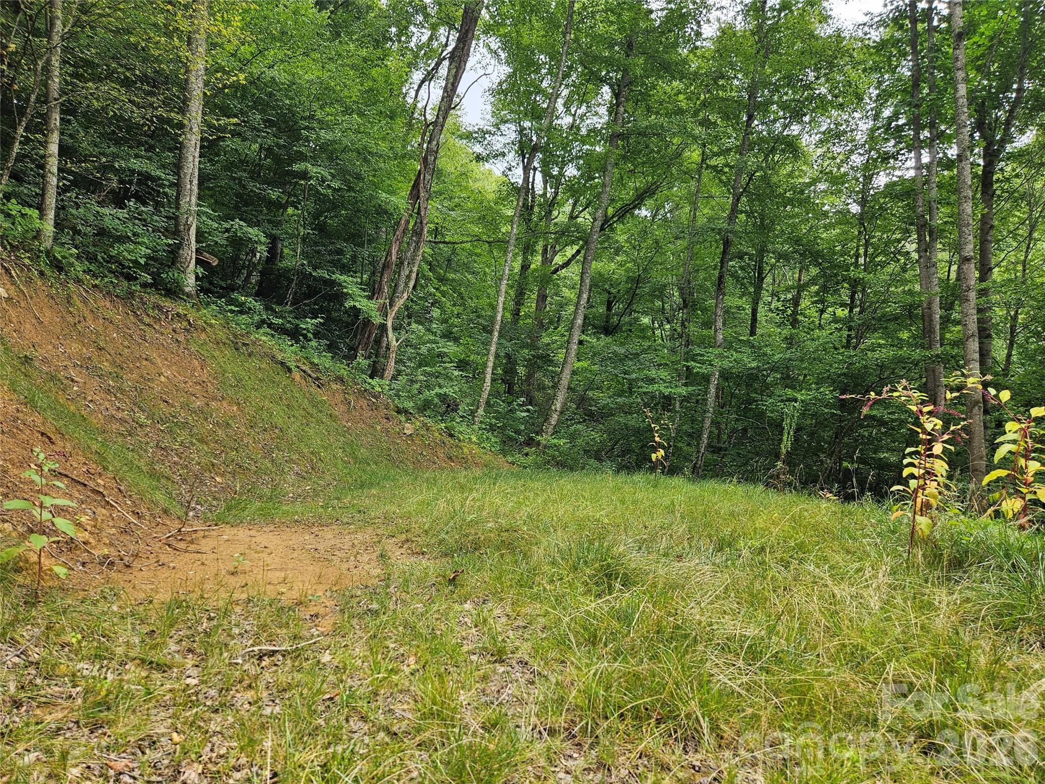 Lot at 00 Wayward Cove, Clyde, photo 6 of 15