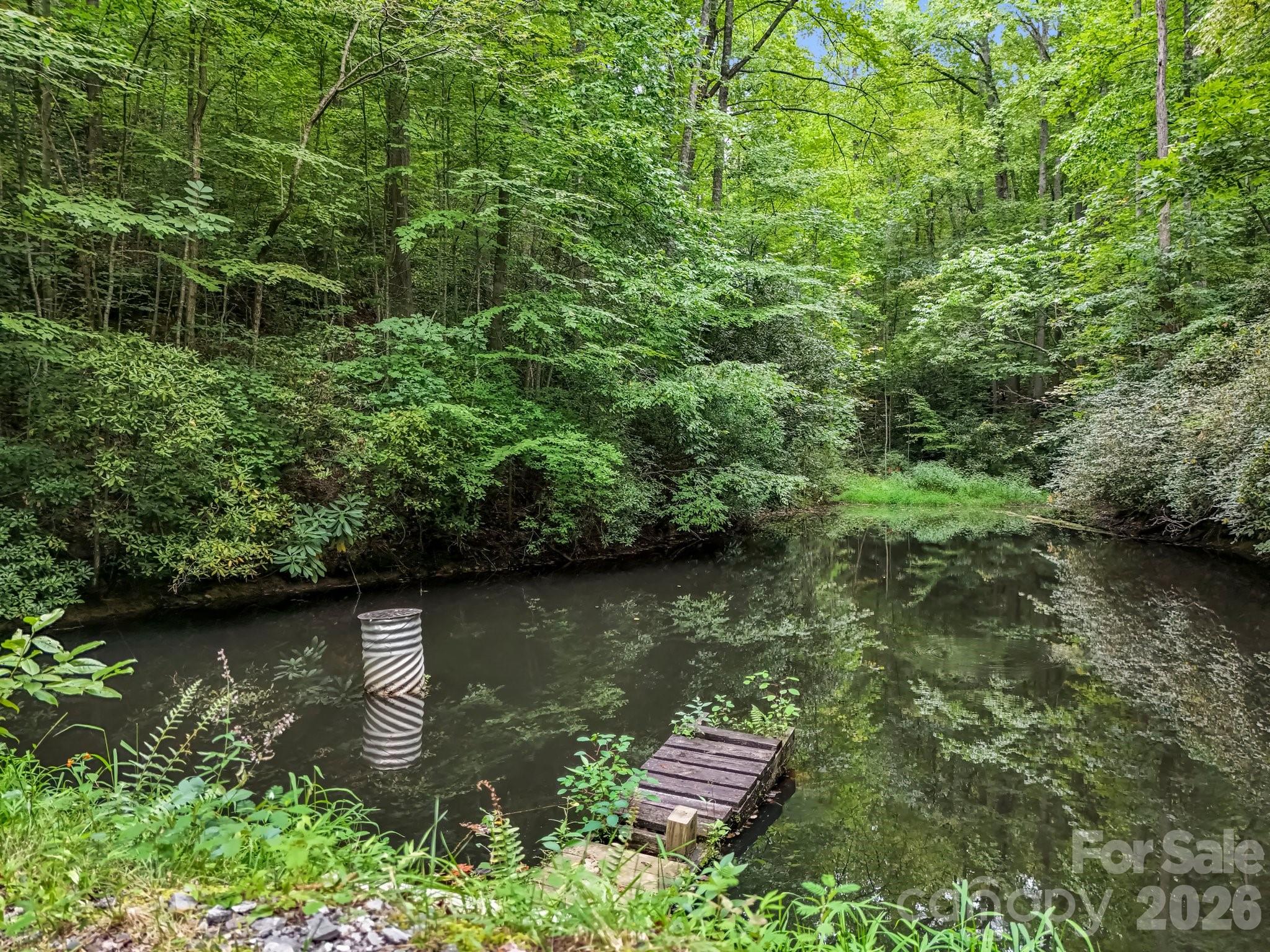 Pond #1 with brim, bass, and catfish - 97 Whippoorwill Lane, Fairview