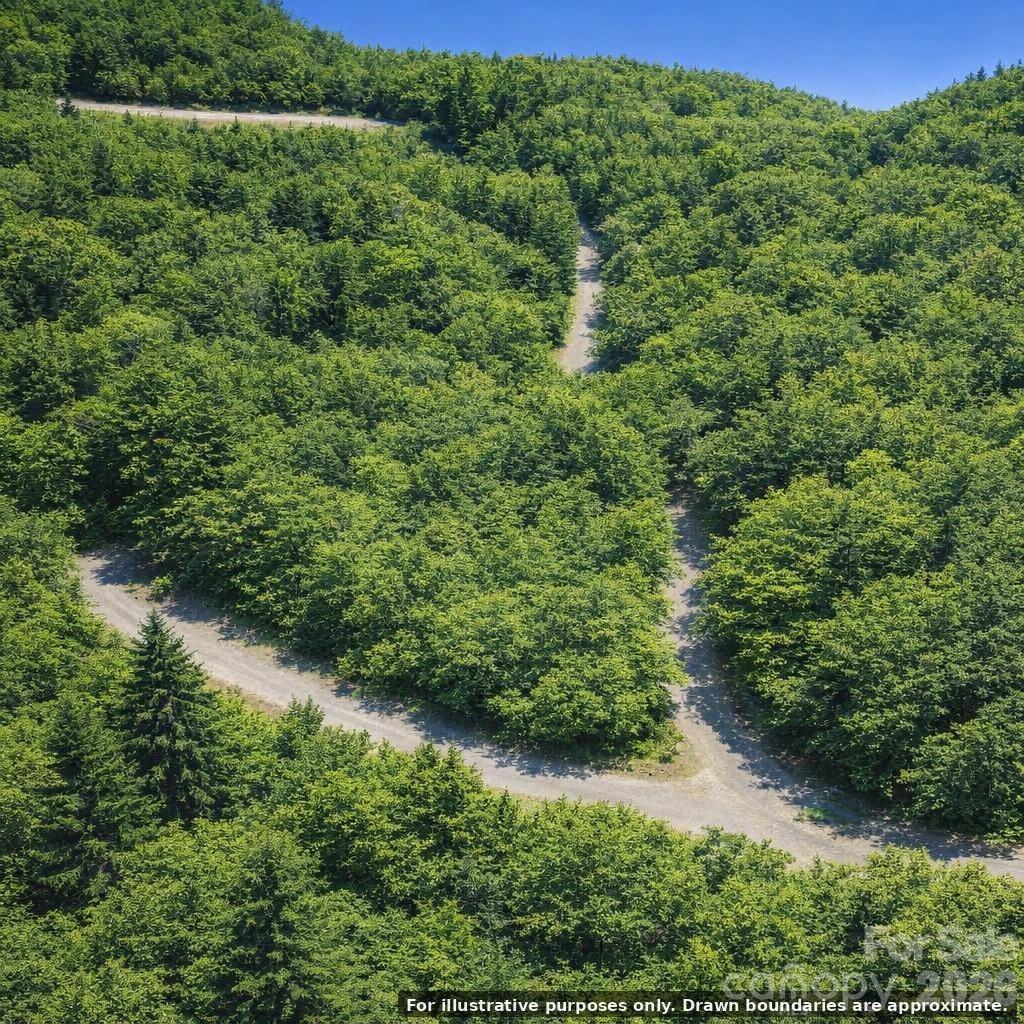 Lot at Lot 124 Trellis Drive, Nebo, photo 4 of 11