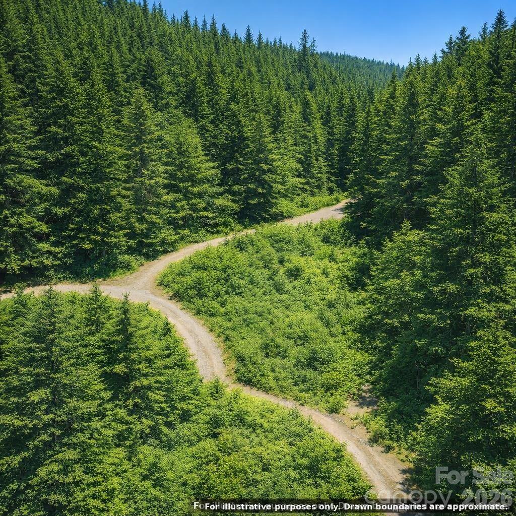 Lot at Lot 124 Trellis Drive, Nebo, photo 10 of 11