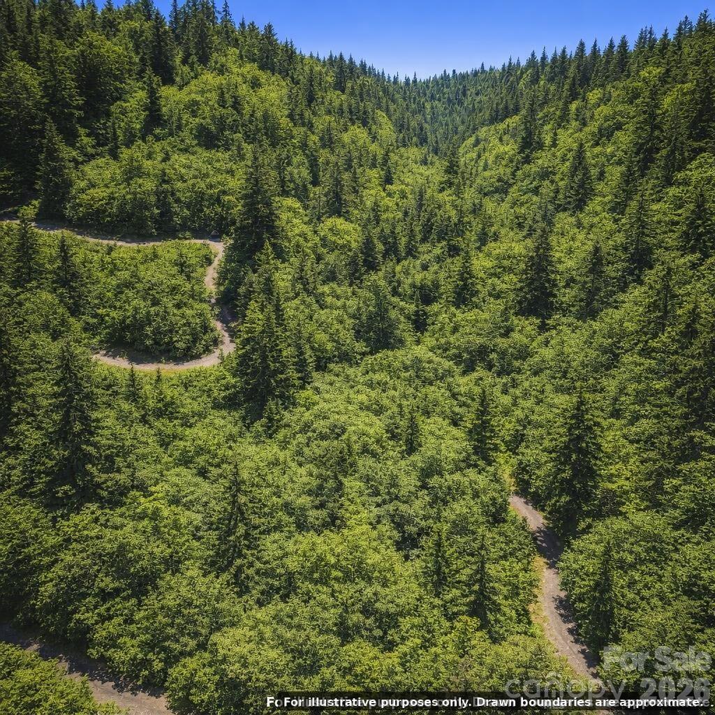 Lot at Lot 130 Trellis Drive, Nebo, photo 4 of 11