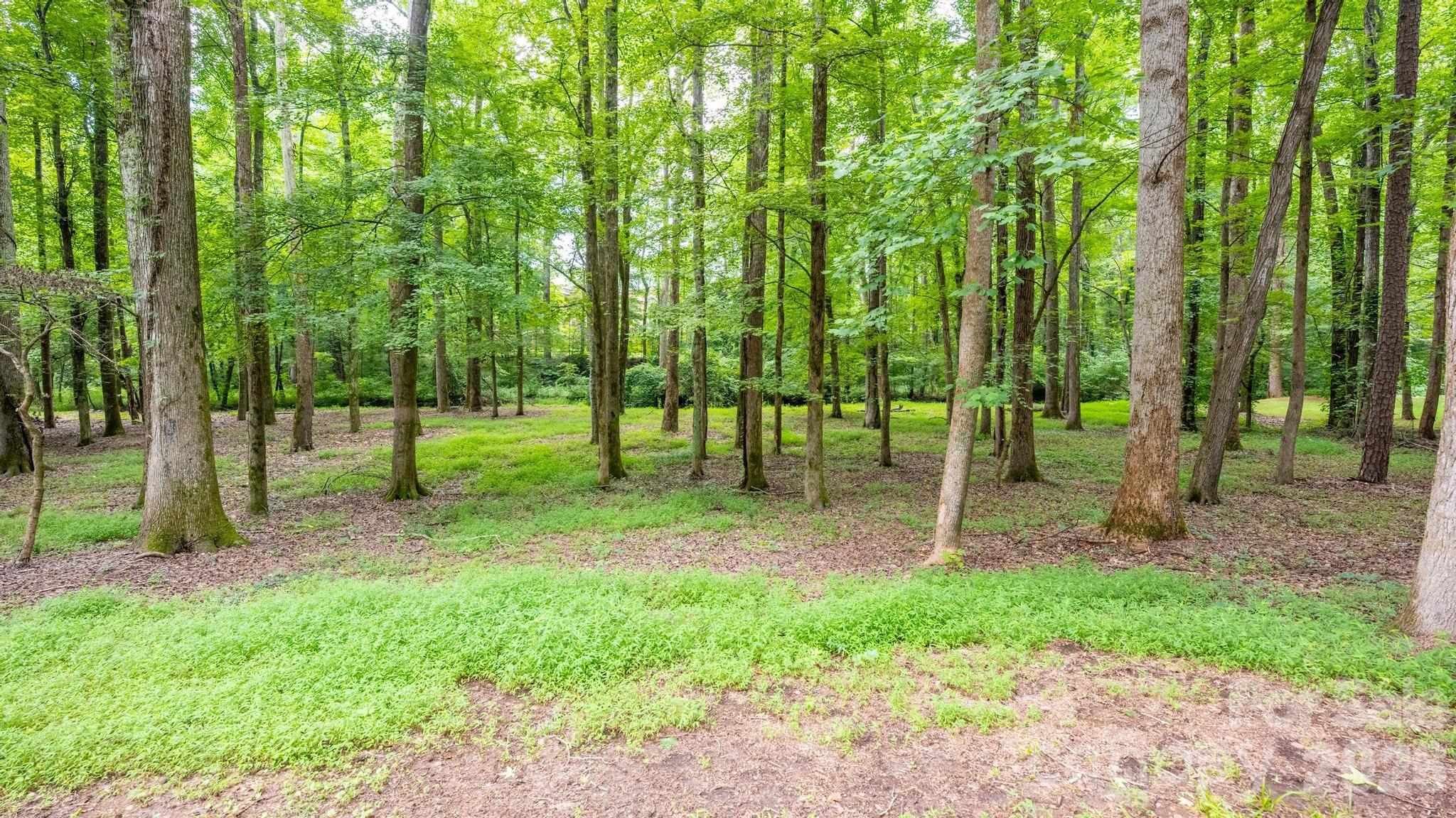 Lot at 720 Saint Cloud Drive, Statesville, photo 6 of 17