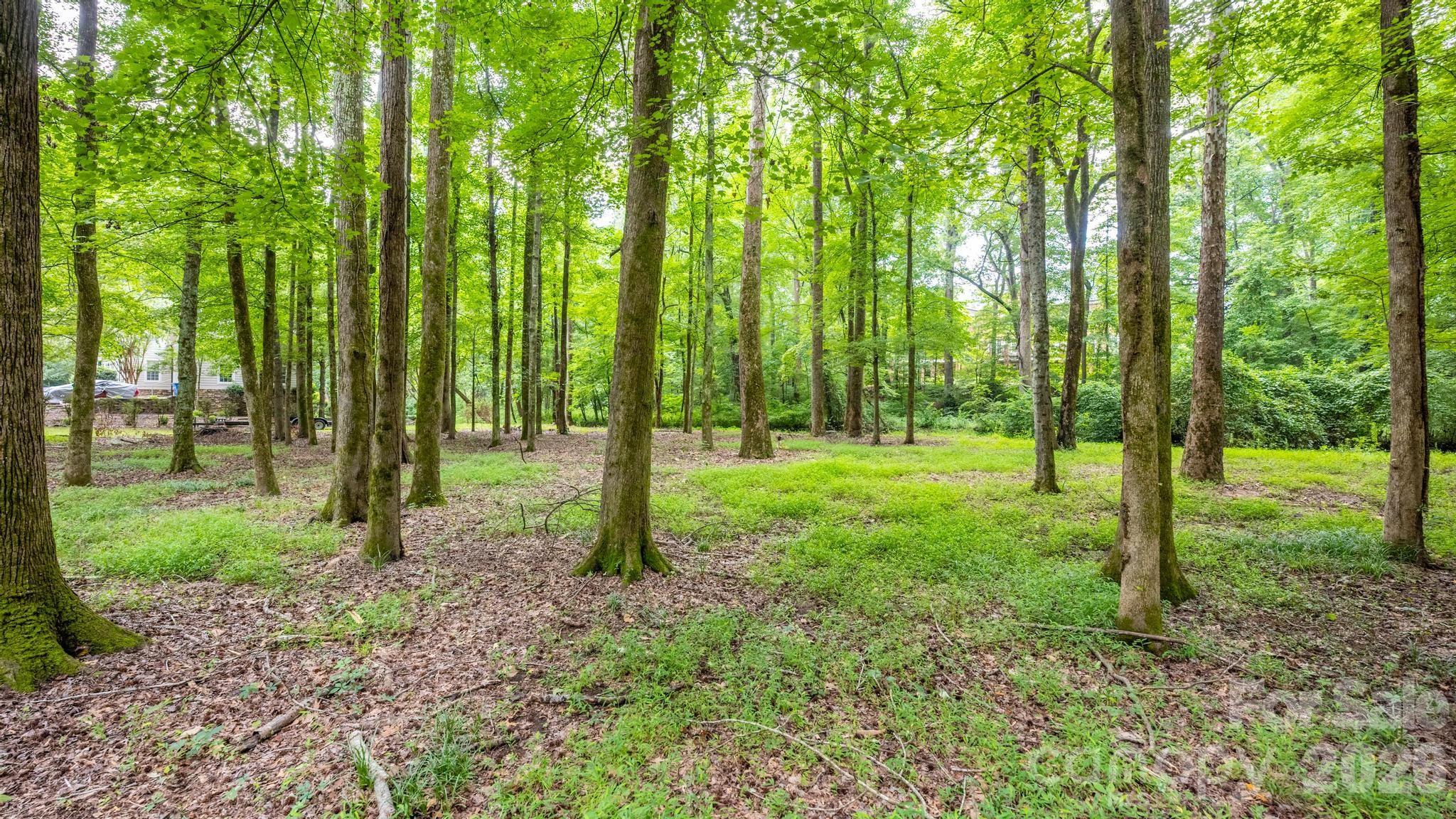 Lot at 720 Saint Cloud Drive, Statesville, photo 7 of 17