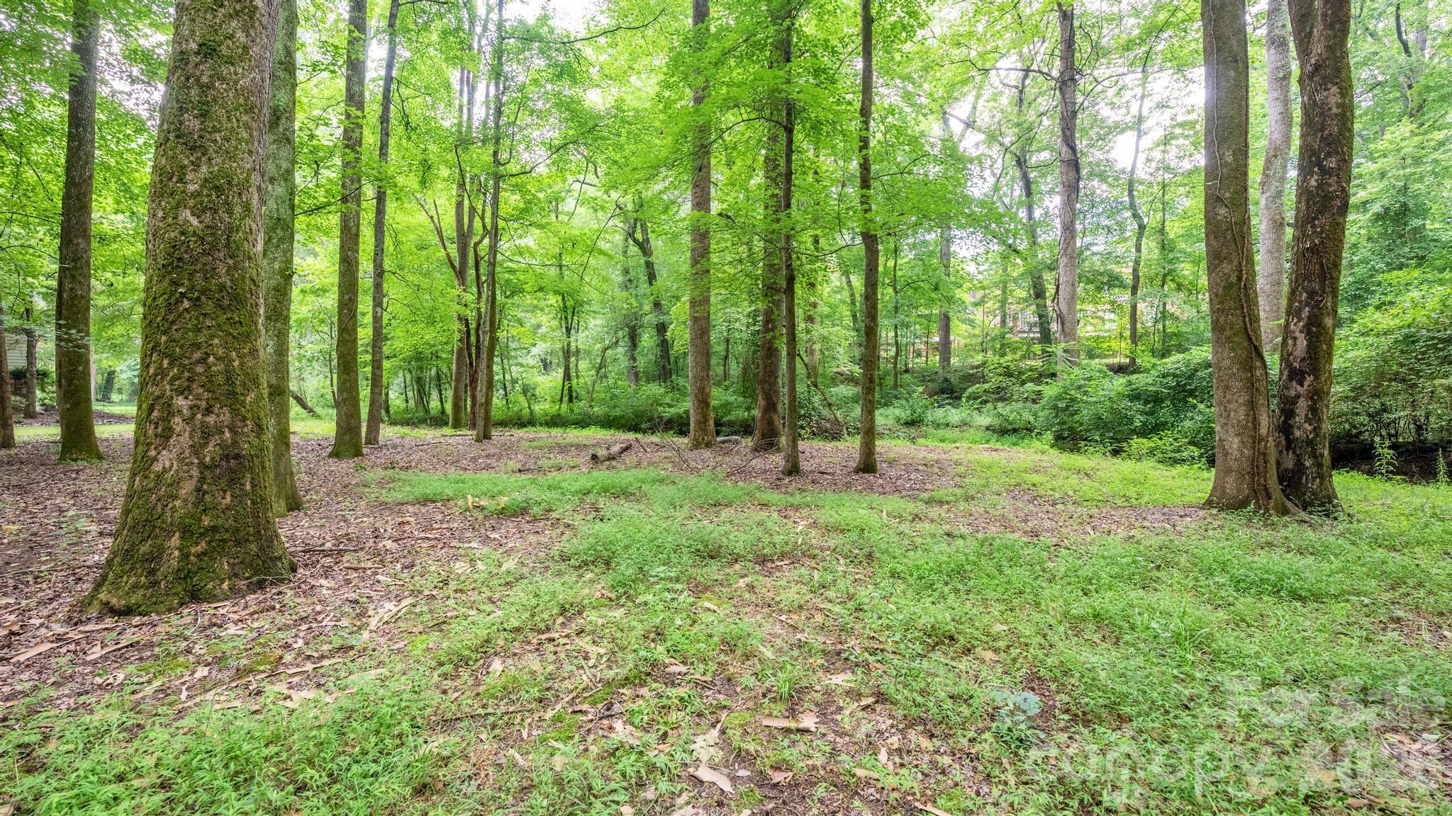 Lot at 720 Saint Cloud Drive, Statesville, photo 8 of 17