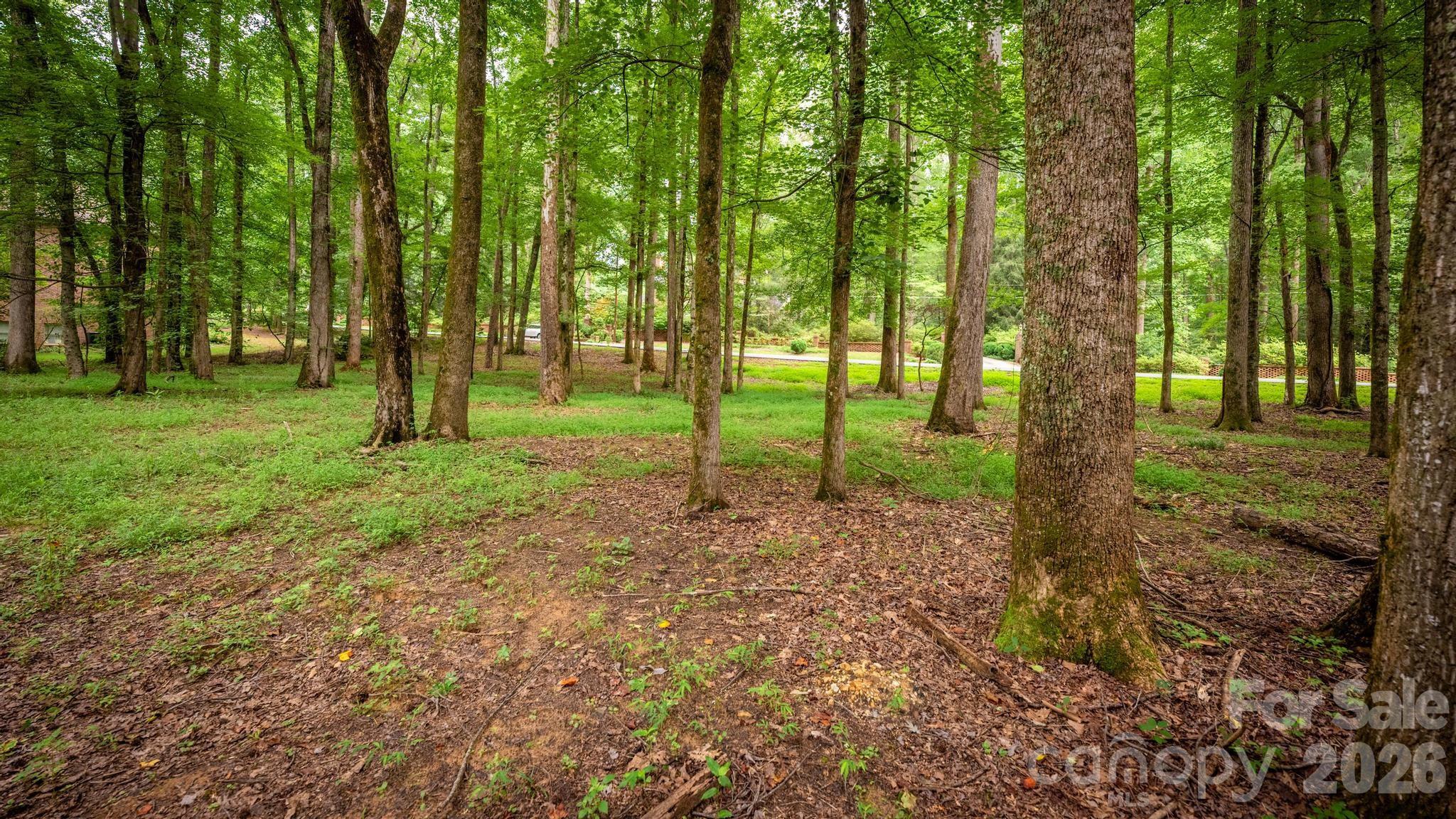 Lot at 720 Saint Cloud Drive, Statesville, photo 11 of 17