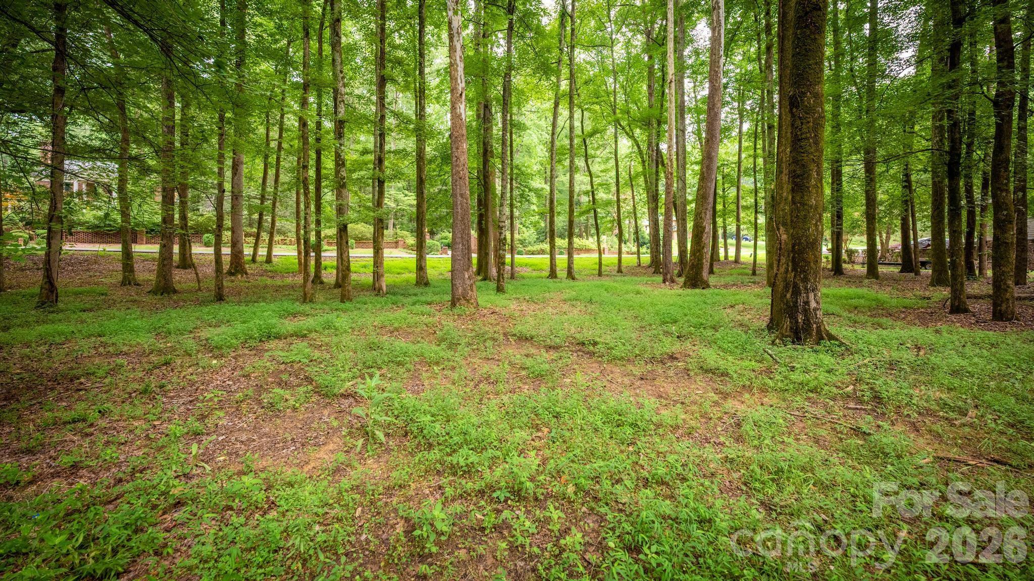 Lot at 720 Saint Cloud Drive, Statesville, photo 13 of 17