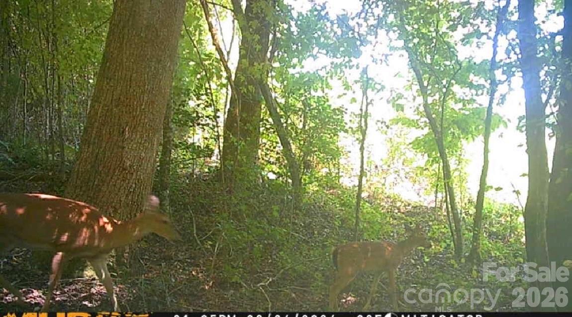 Lot at 0 E Pine Hill Avenue, Morganton, photo 17 of 19