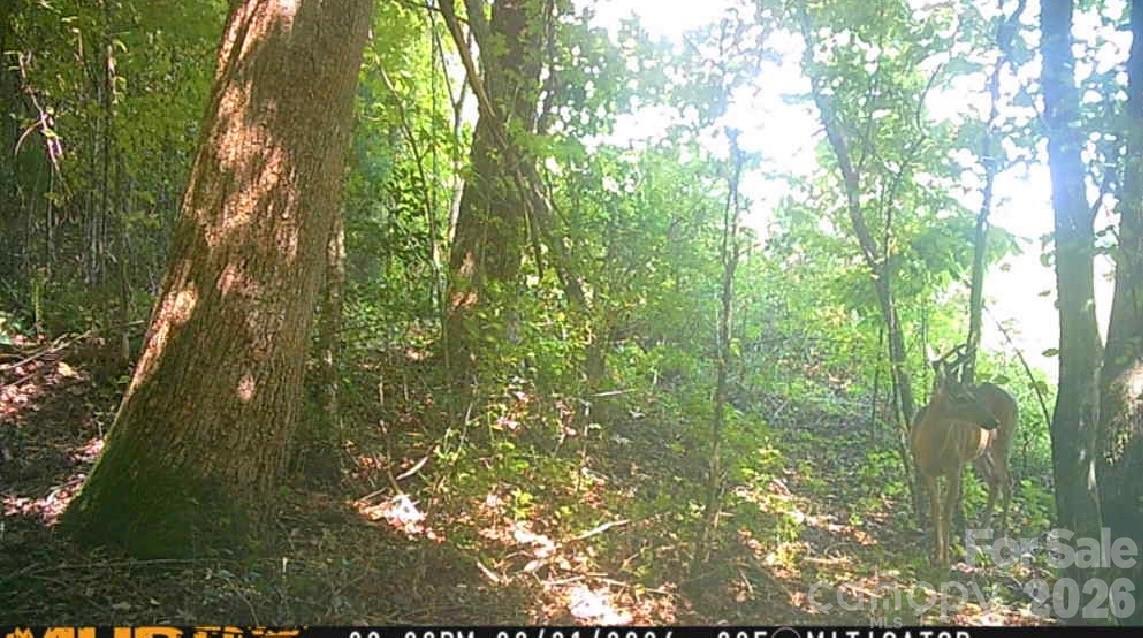 Lot at 0 E Pine Hill Avenue, Morganton, photo 19 of 19