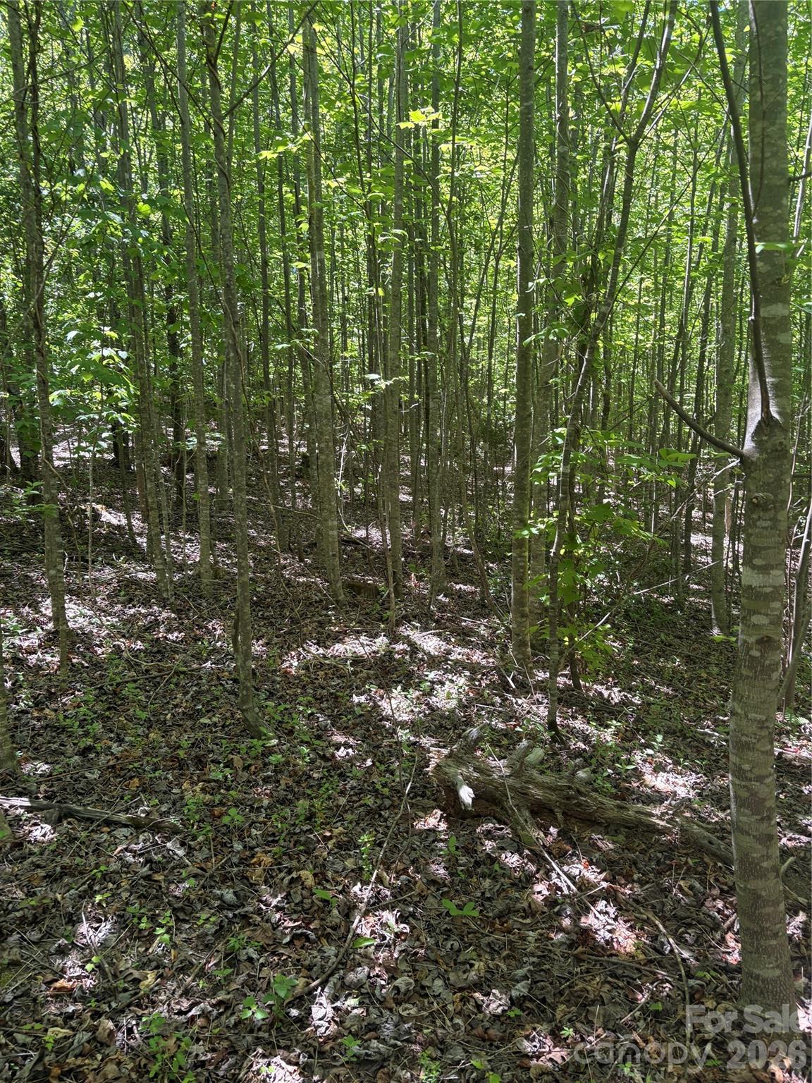 Lot at 0 E Pine Hill Avenue, Morganton, photo 16 of 19