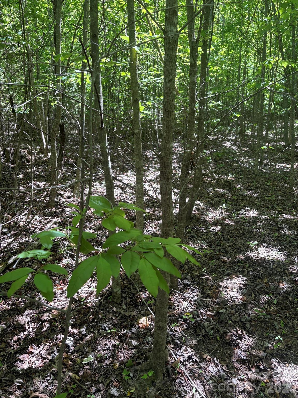 Lot at 0 E Pine Hill Avenue, Morganton, photo 17 of 19