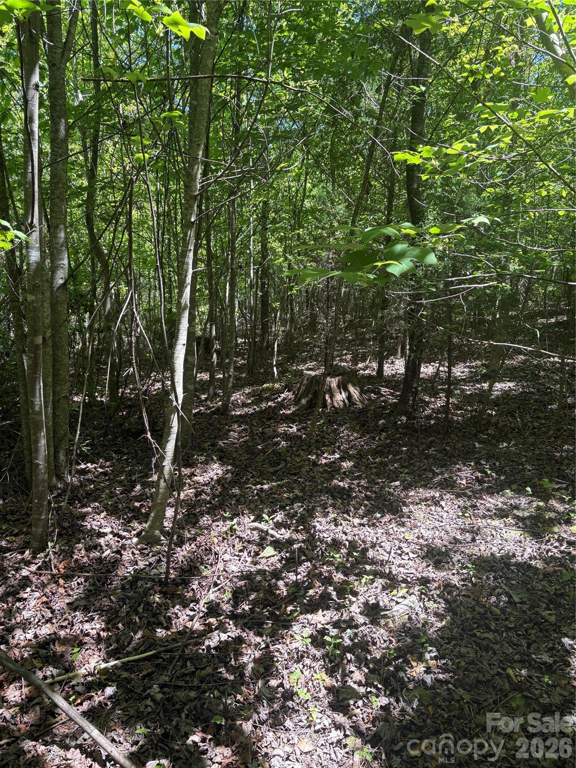 Lot at 0 E Pine Hill Avenue, Morganton, photo 18 of 19