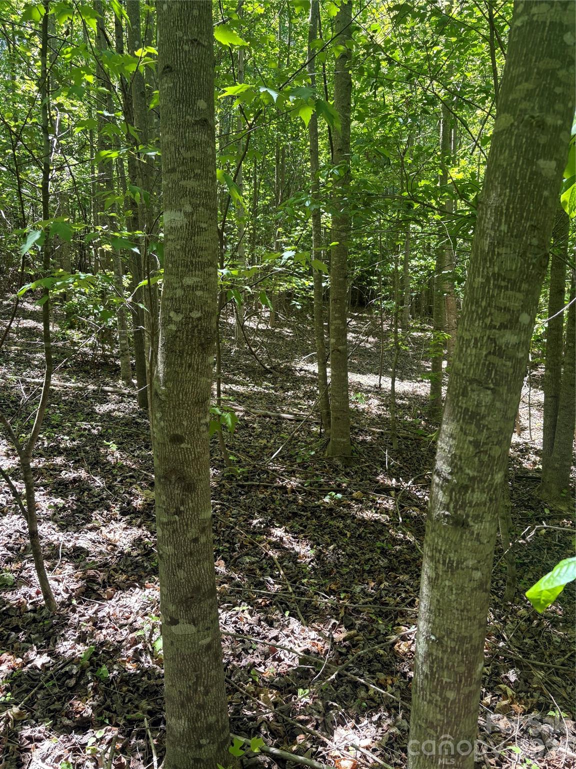 Lot at 0 E Pine Hill Avenue, Morganton, photo 19 of 19