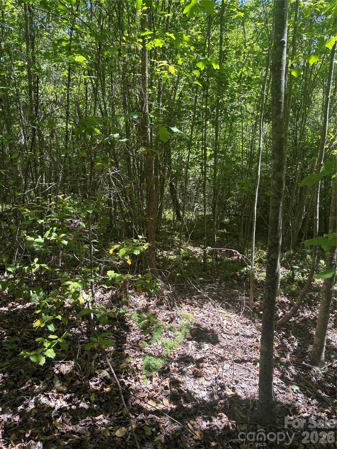 Lot at 0 E Pine Hill Avenue, Morganton, photo 16 of 18