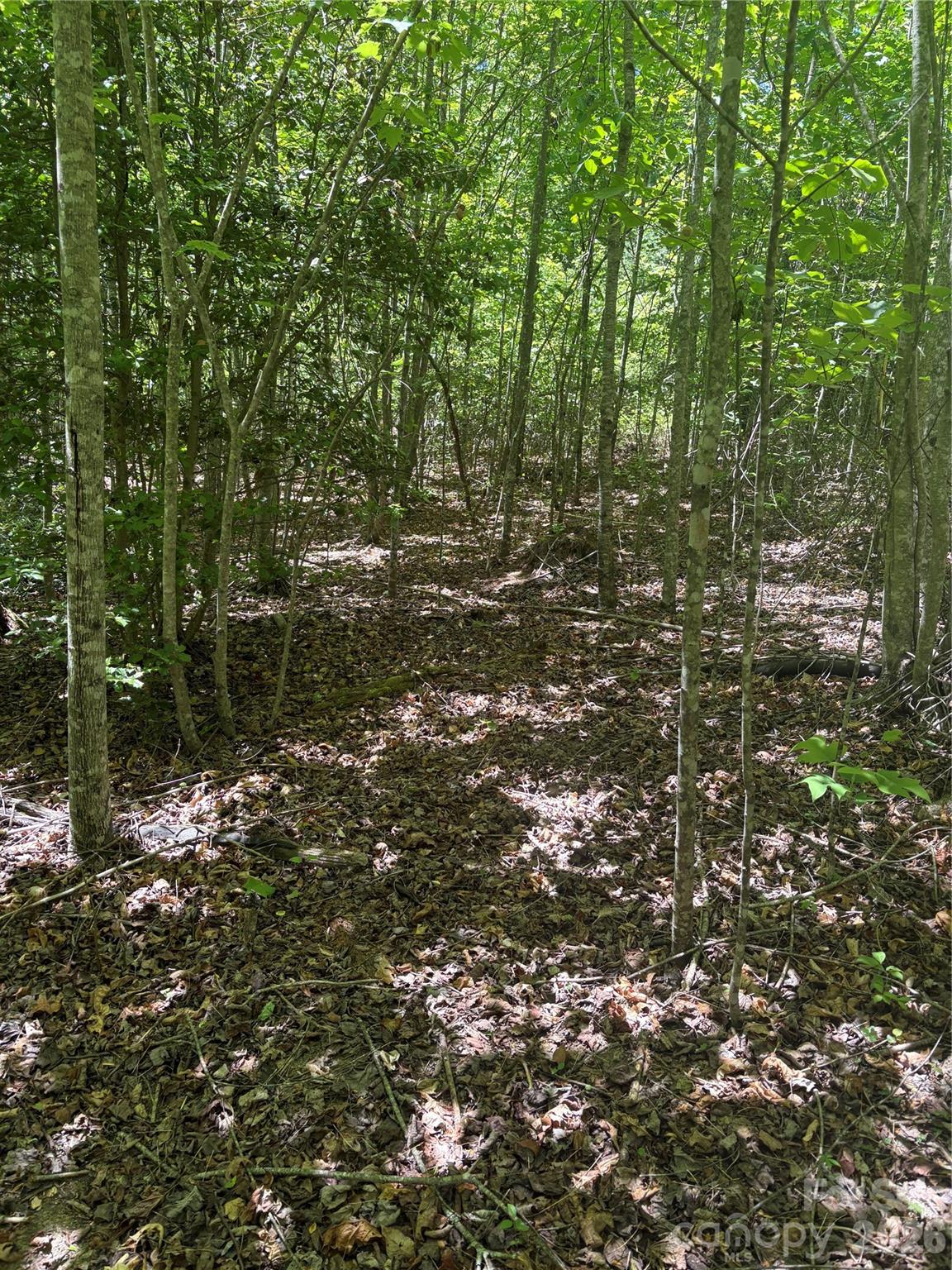 Lot at 0 E Pine Hill Avenue, Morganton, photo 17 of 18
