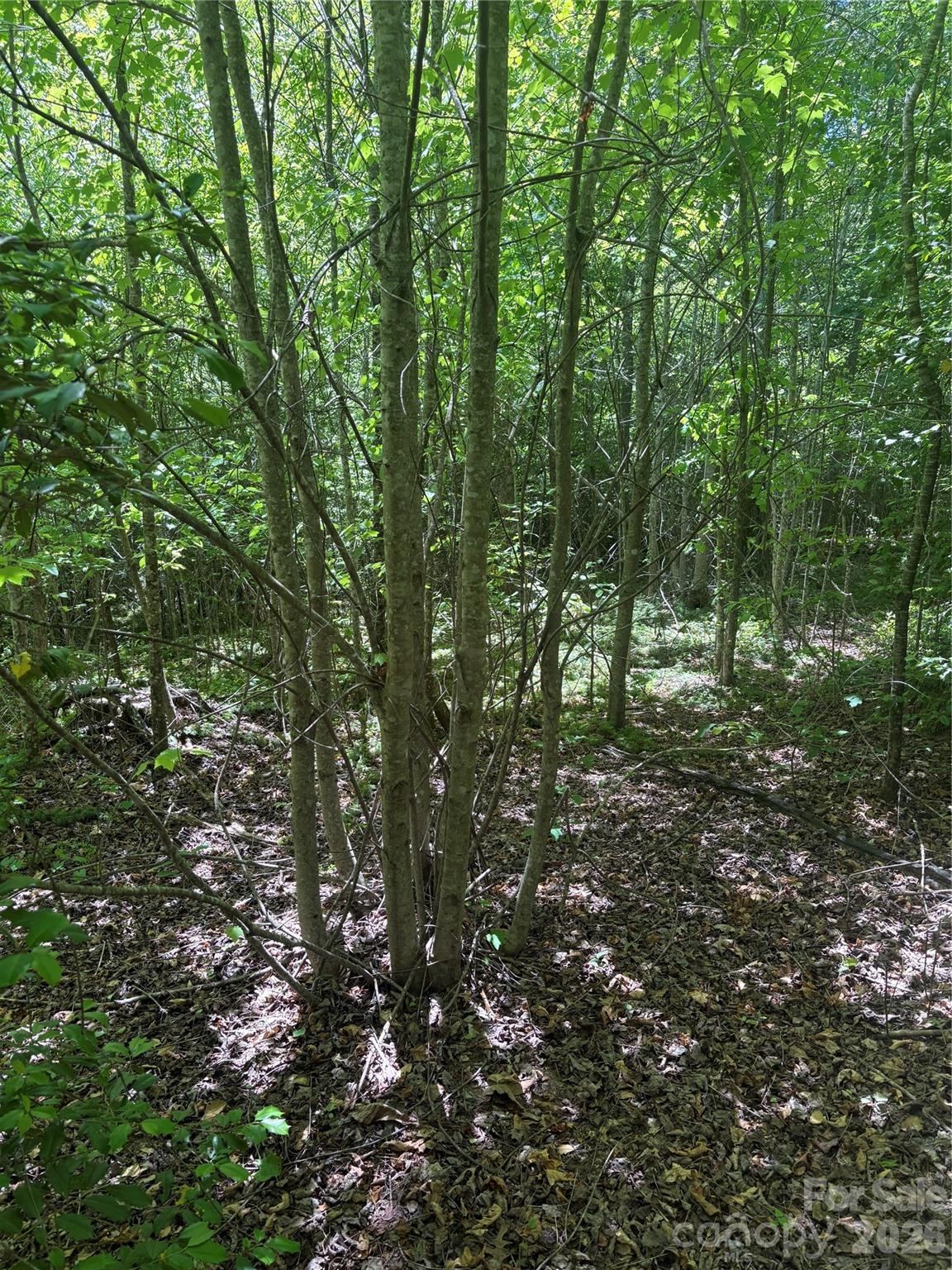 Lot at 0 E Pine Hill Avenue, Morganton, photo 18 of 18