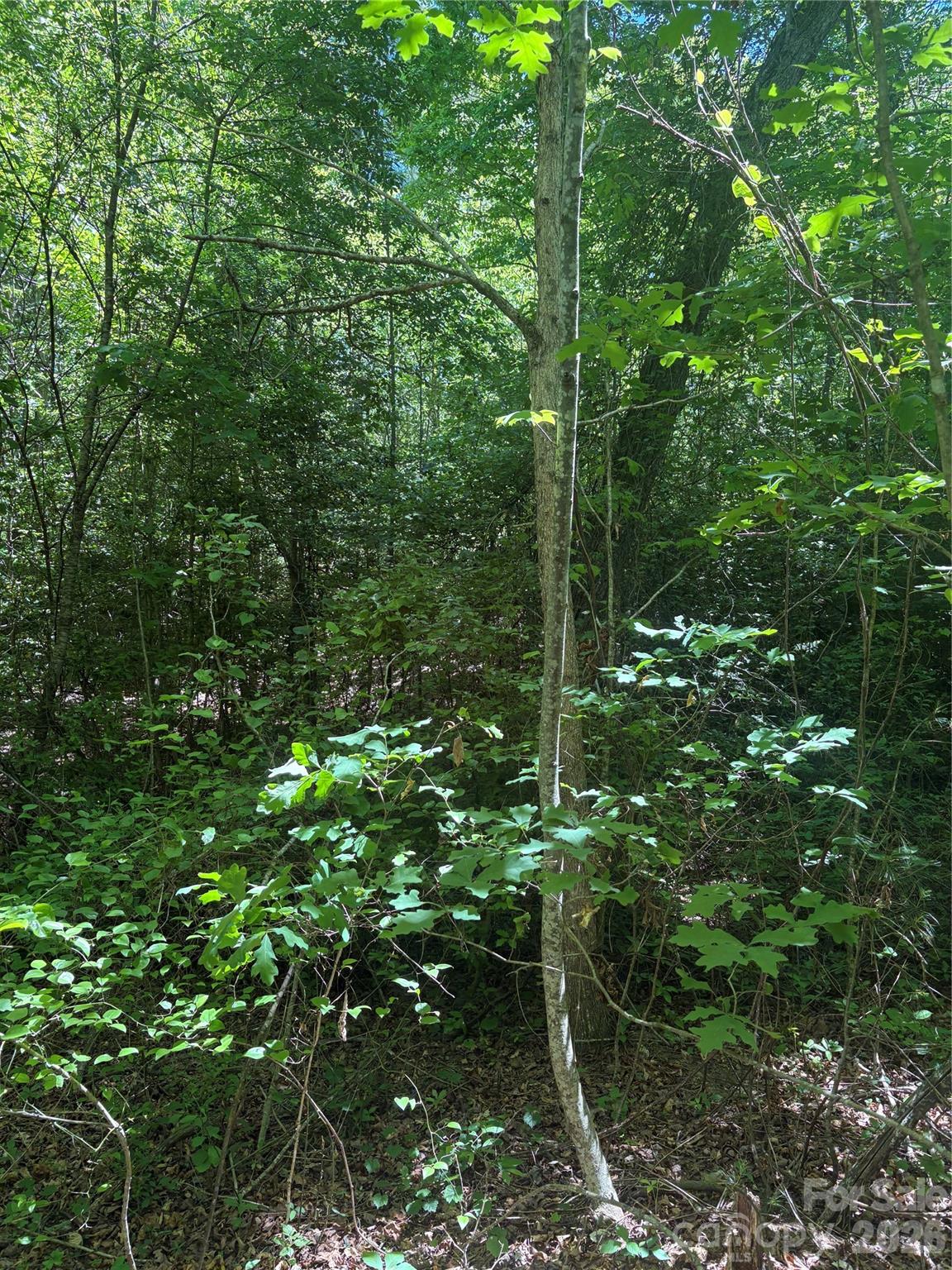 Lot at 0 E Pine Hill Avenue, Morganton, photo 16 of 18