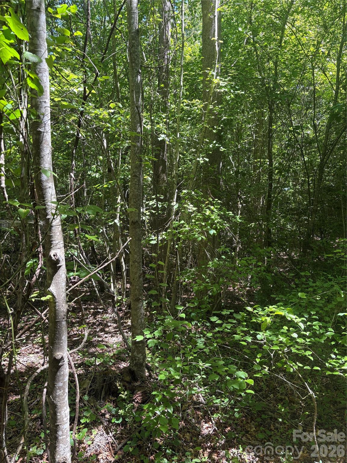 Lot at 0 E Pine Hill Avenue, Morganton, photo 17 of 18