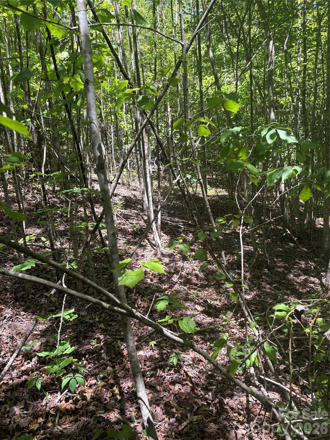 Lot at 0 E Pine Hill Avenue, Morganton, photo 18 of 18