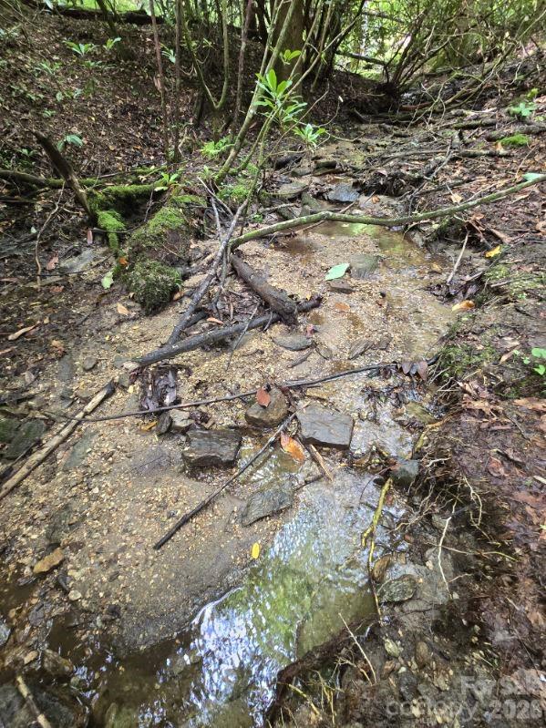 Small Spring Run just below the house across the driveway. - 275 Hubbard Hollow Road, Rosman