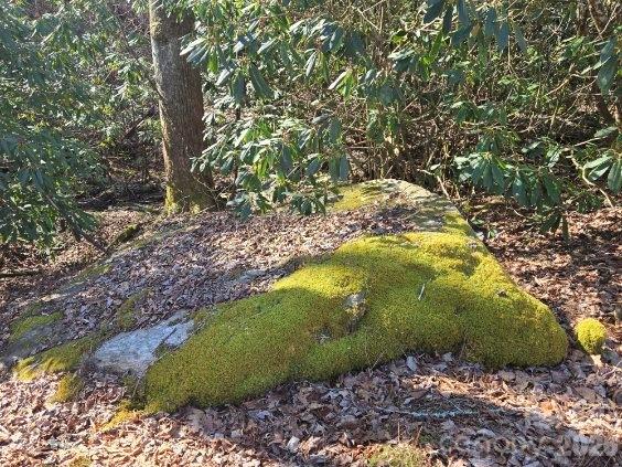 Just one of a few really Kool Rocks and Kool Rock Formations found by the creek and throughout the property! - 275 Hubbard Hollow Road, Rosman