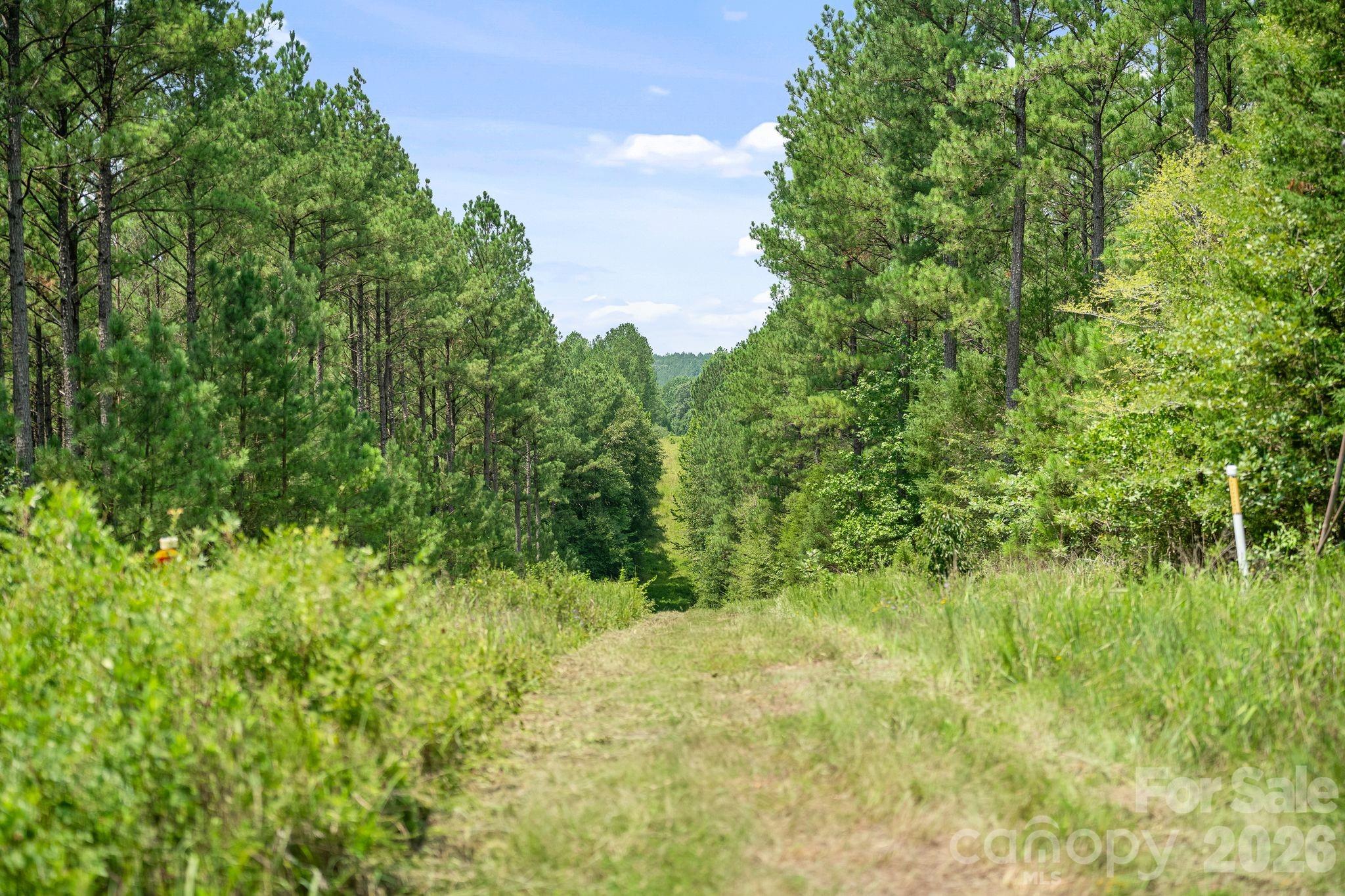 Acreage at 0000 Hwy 72 Highway, Carlisle, photo 4 of 45