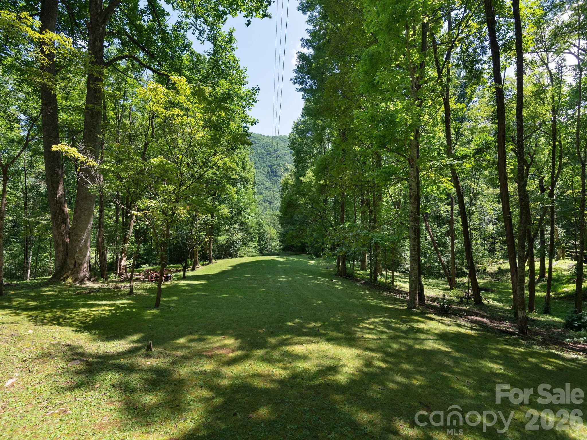Backyard view from the rear of the home create a peaceful backdrop for enjoying the beauty of nature. - 1572 Brushy Fork Road, Sylva