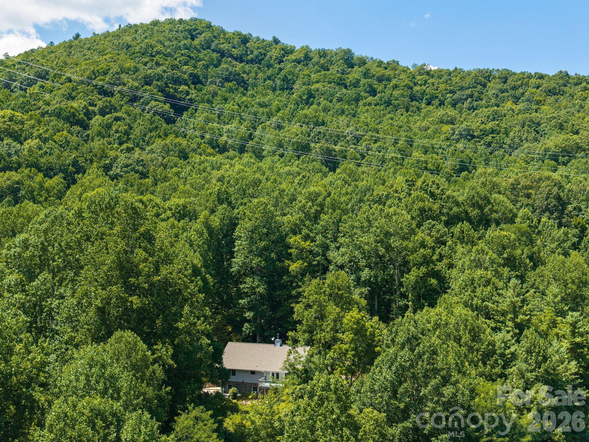 36 acres of privacy, beauty, and possibility—with potential build sites offering the opportunity to expand and create your own mountain legacy. - 1572 Brushy Fork Road, Sylva