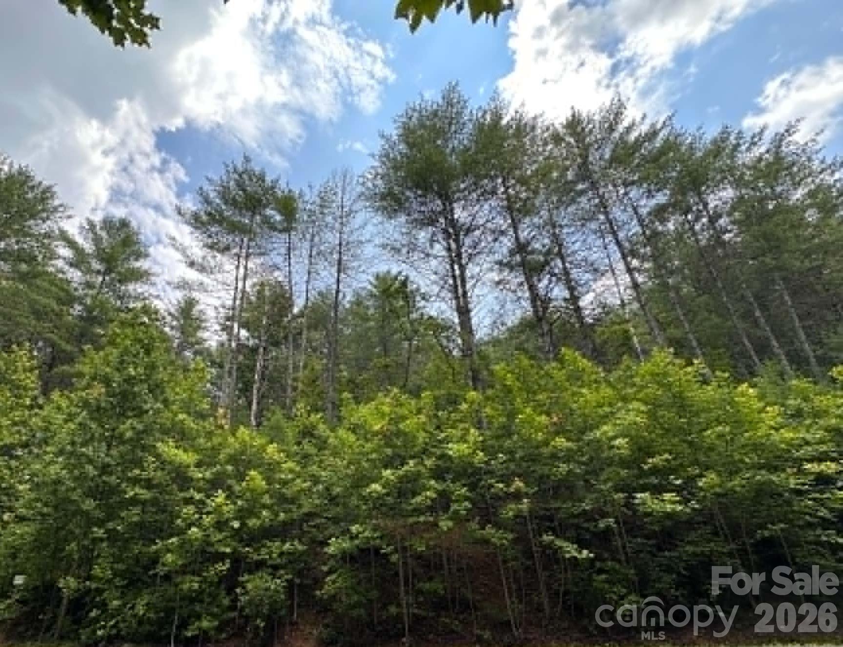 Lot at TBD Rock Cliff Drive, Collettsville