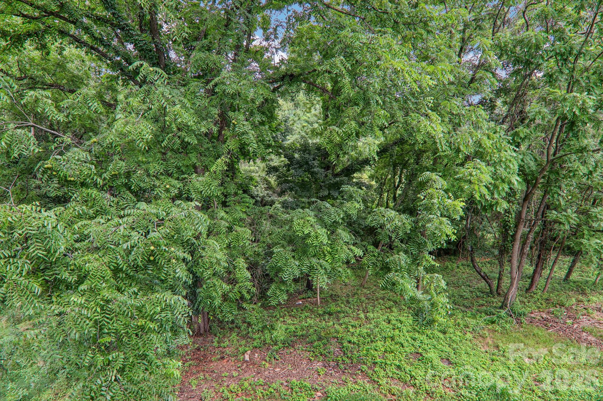Back yard - 140 N Main Street, Mars Hill