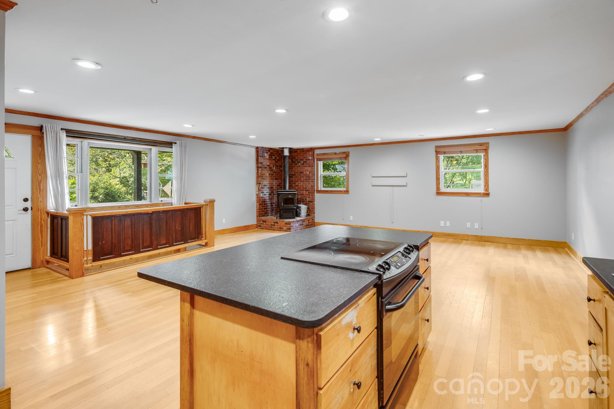Single Family Residence at 10 Davenport Place, Asheville, photo 10 of 47