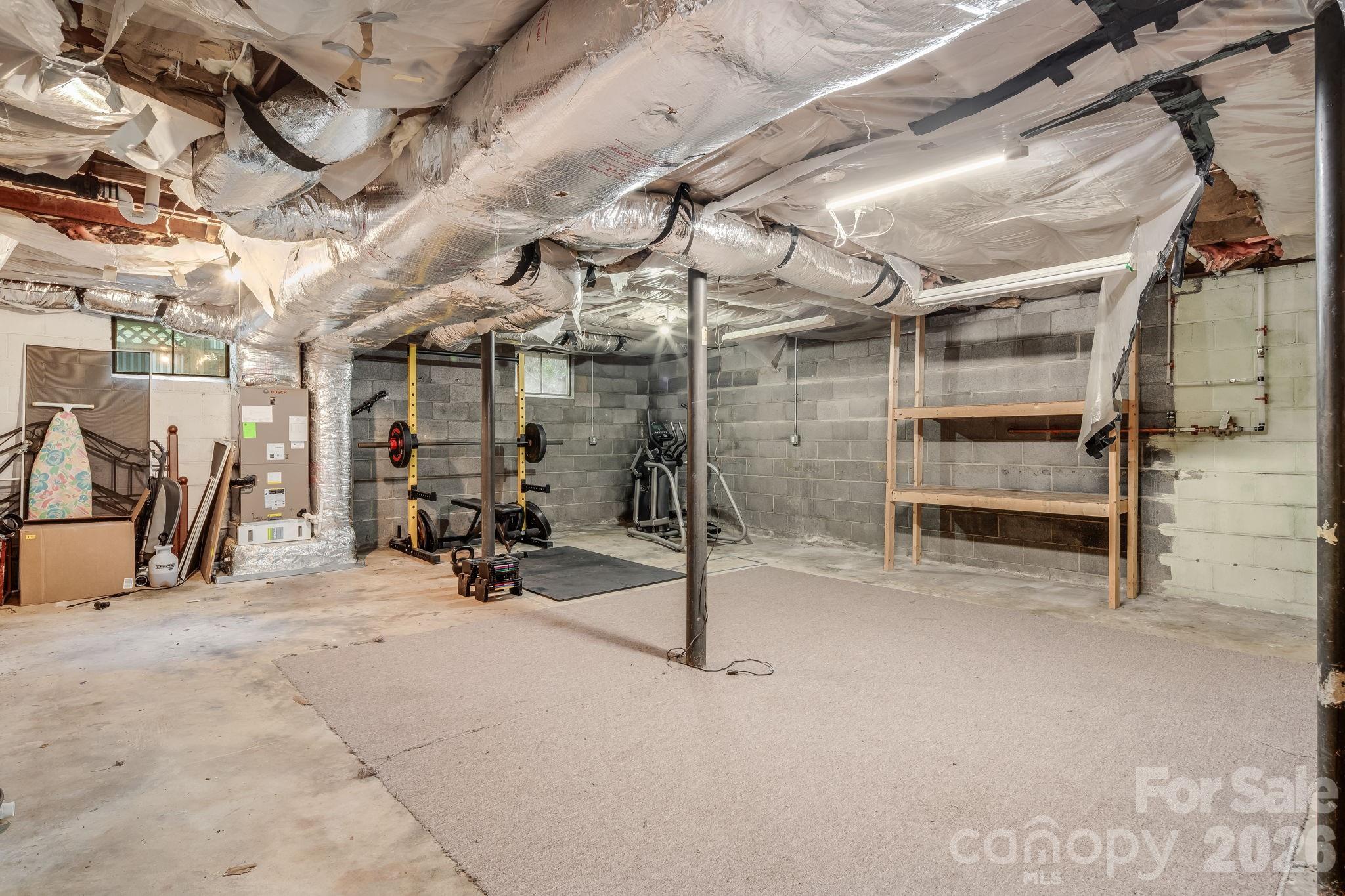 large unfinished basement with exceptional storage capacity and versatile flex space - 10 Davenport Place, Asheville