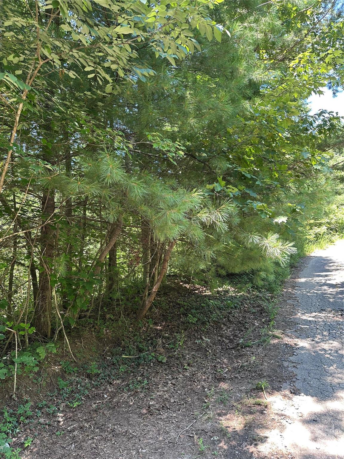 Lot at 3960 Winston Drive, Morganton