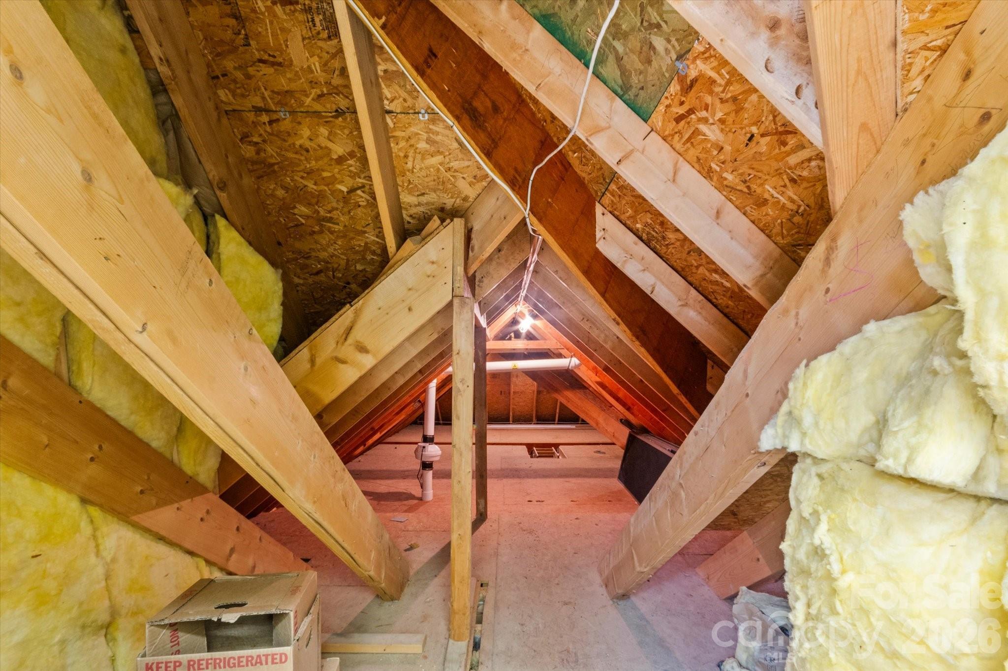 Attic Access - 6 Jasmine Lane, Brevard