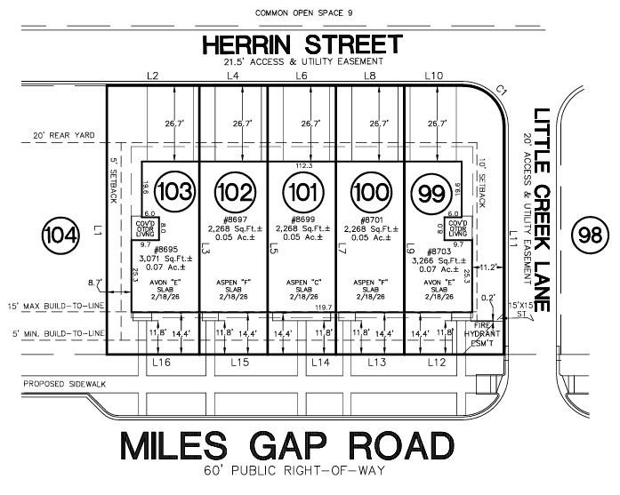 8695 Miles Gap Road Preliminary Plot Plan - 8695 Miles Gap Road, Indian Land