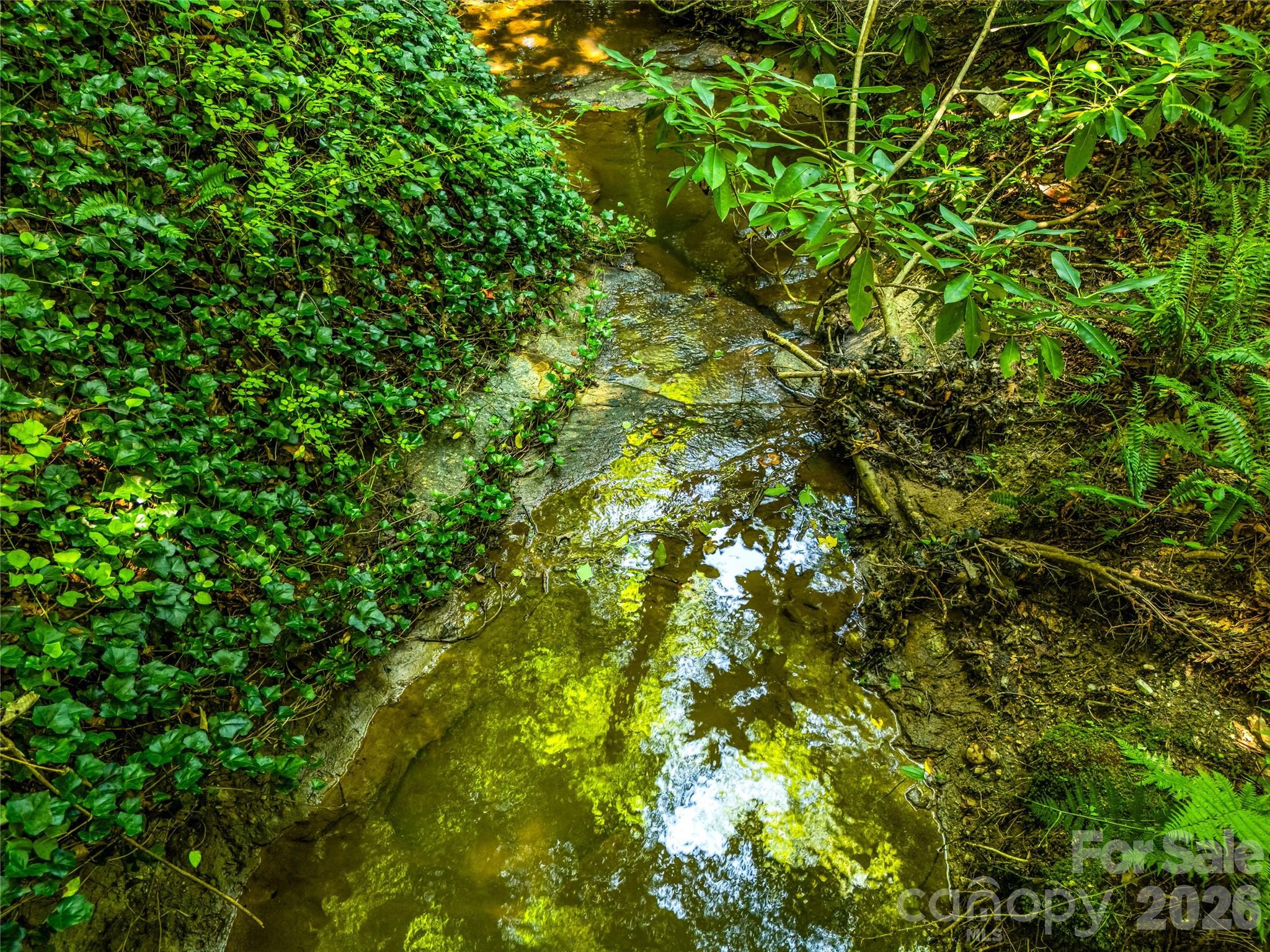 Creek meandoring the property - 70 Promised Ridge Drive, Hendersonville