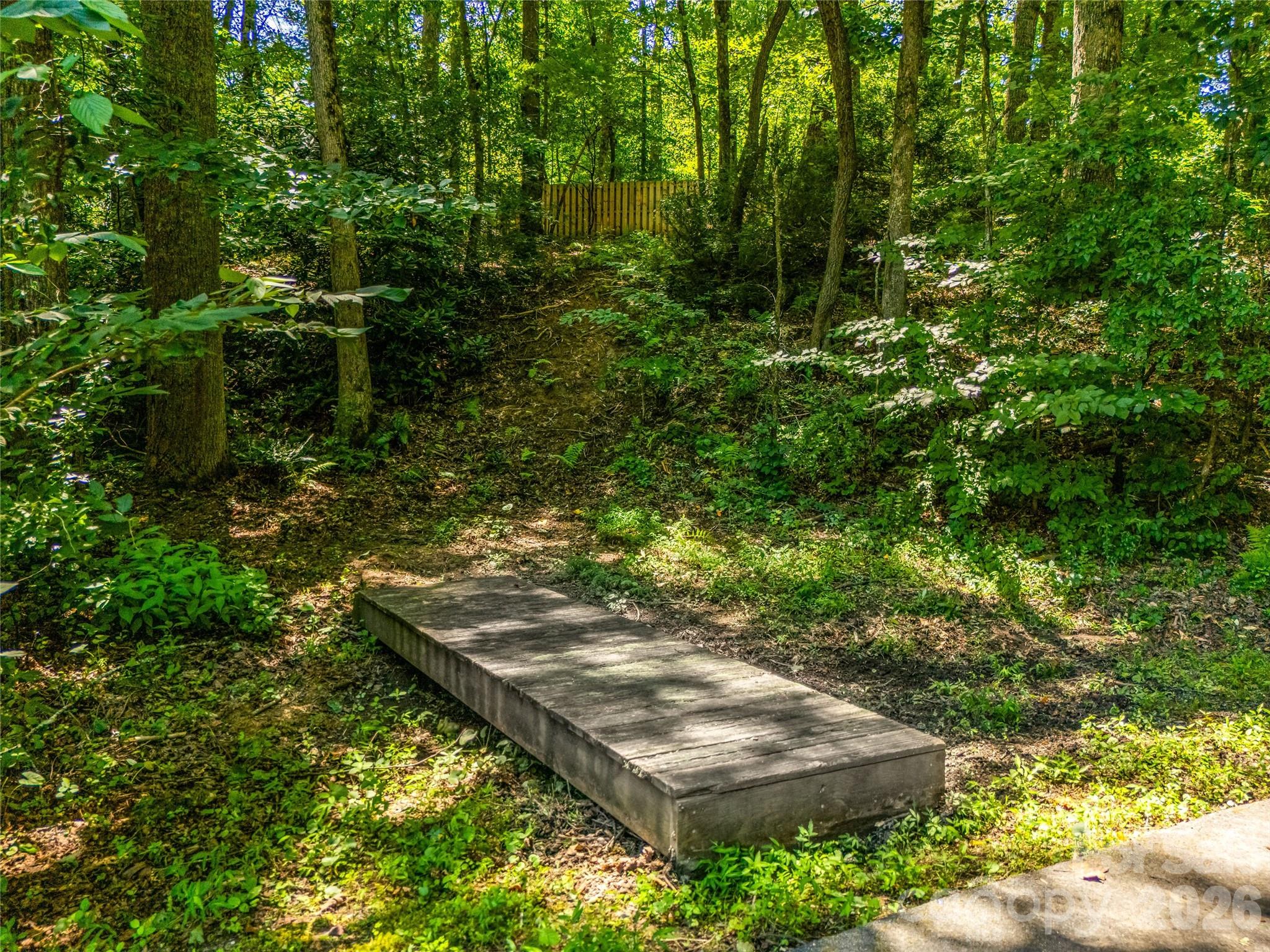 Trails throughout the 1.73 acres - 70 Promised Ridge Drive, Hendersonville