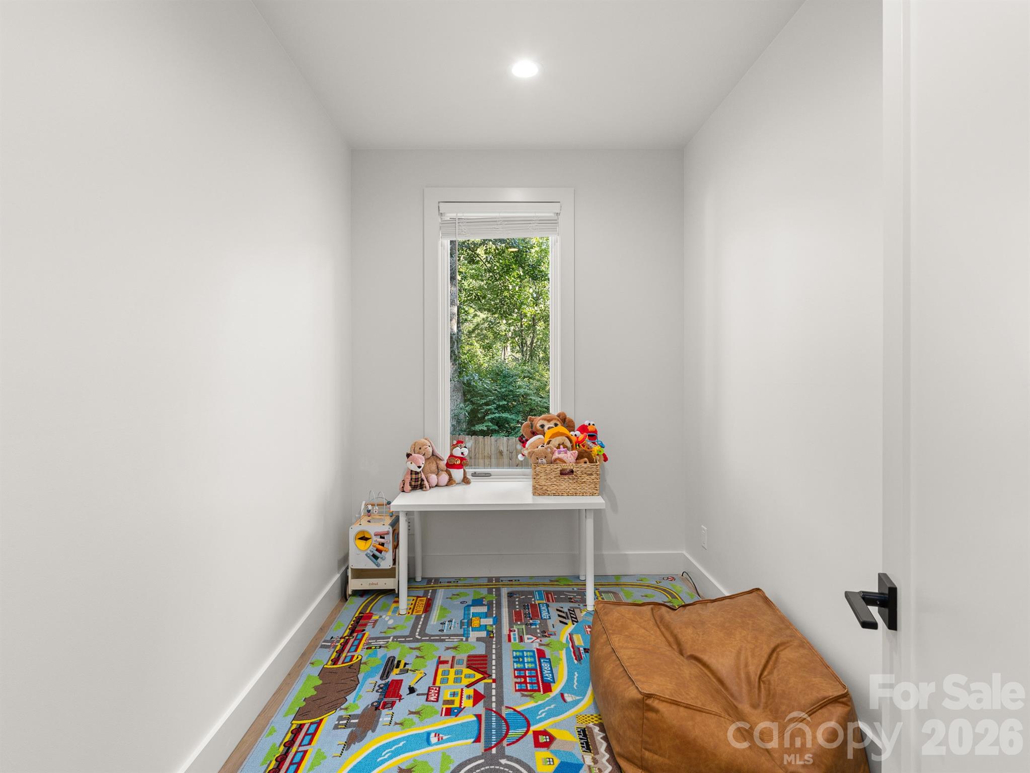 PlayRoom - 52 Klimovych Road, Hendersonville