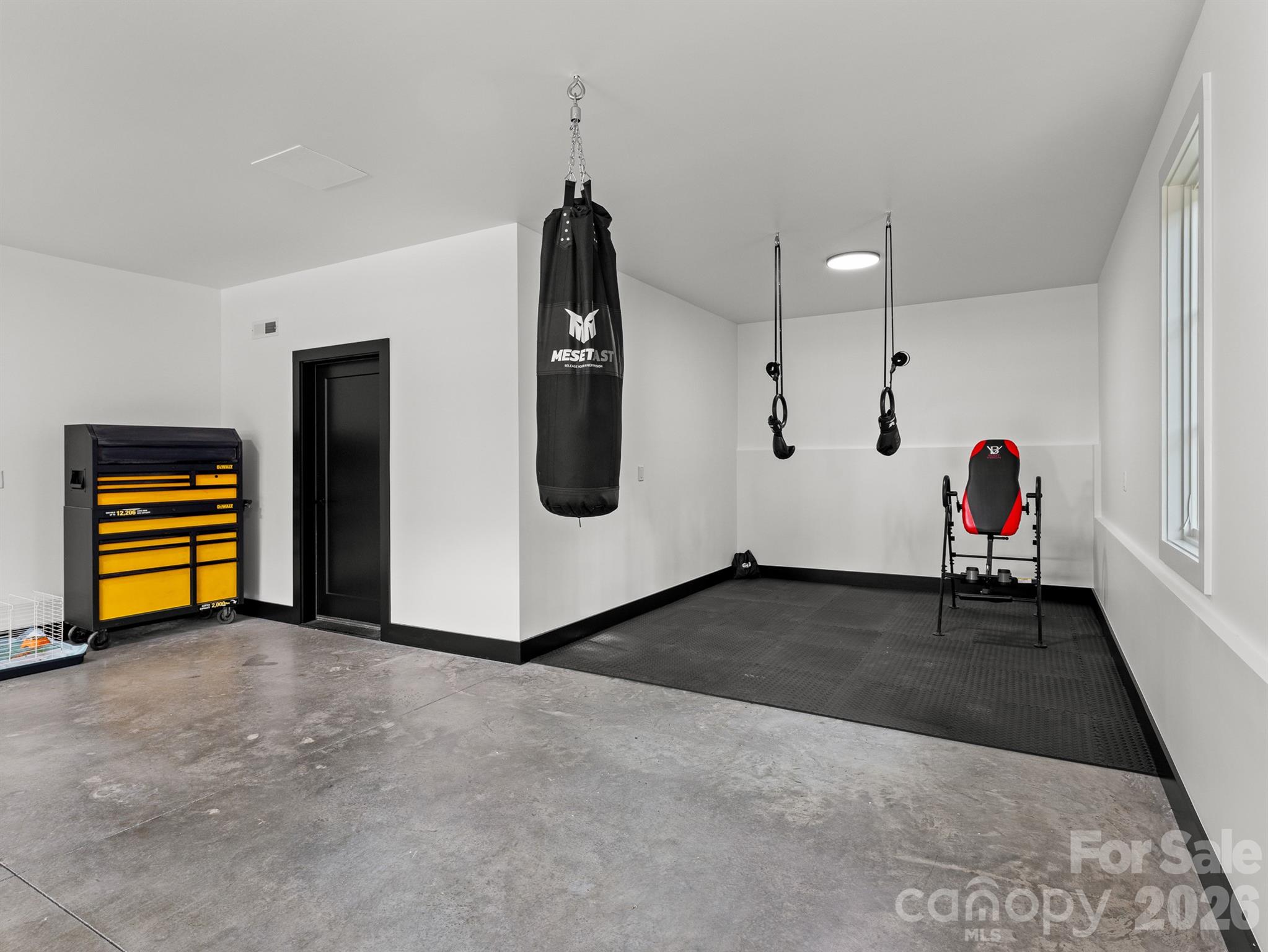 Gym +utiility room - 52 Klimovych Road, Hendersonville
