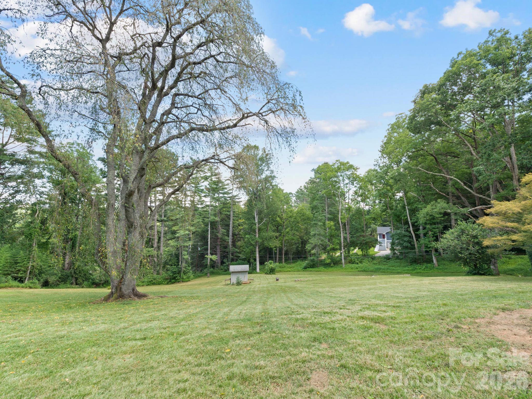 Beautiful cherry tree - 242 N Hills Drive, Hendersonville